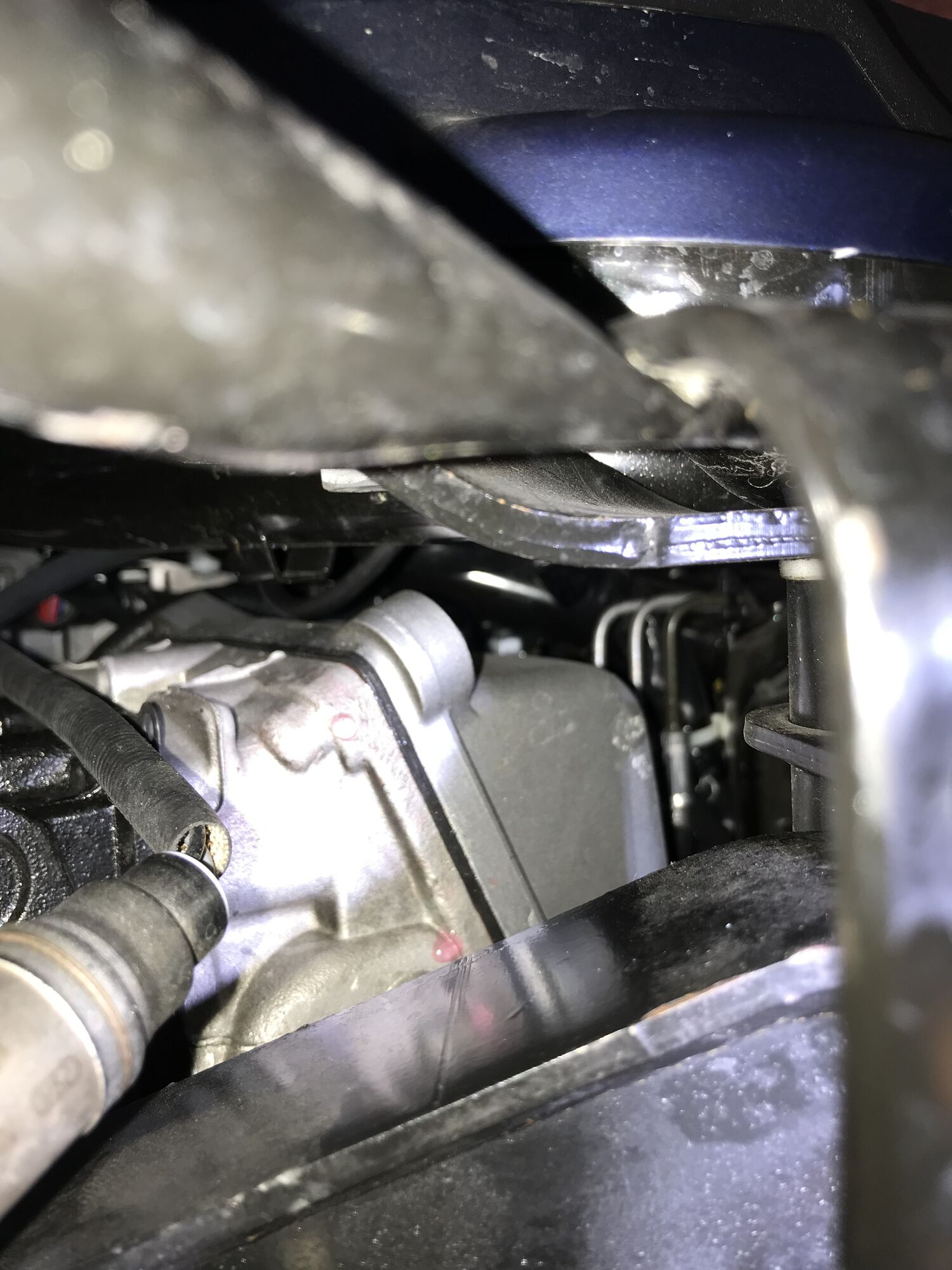 Forum member supplied image with no explanatory text