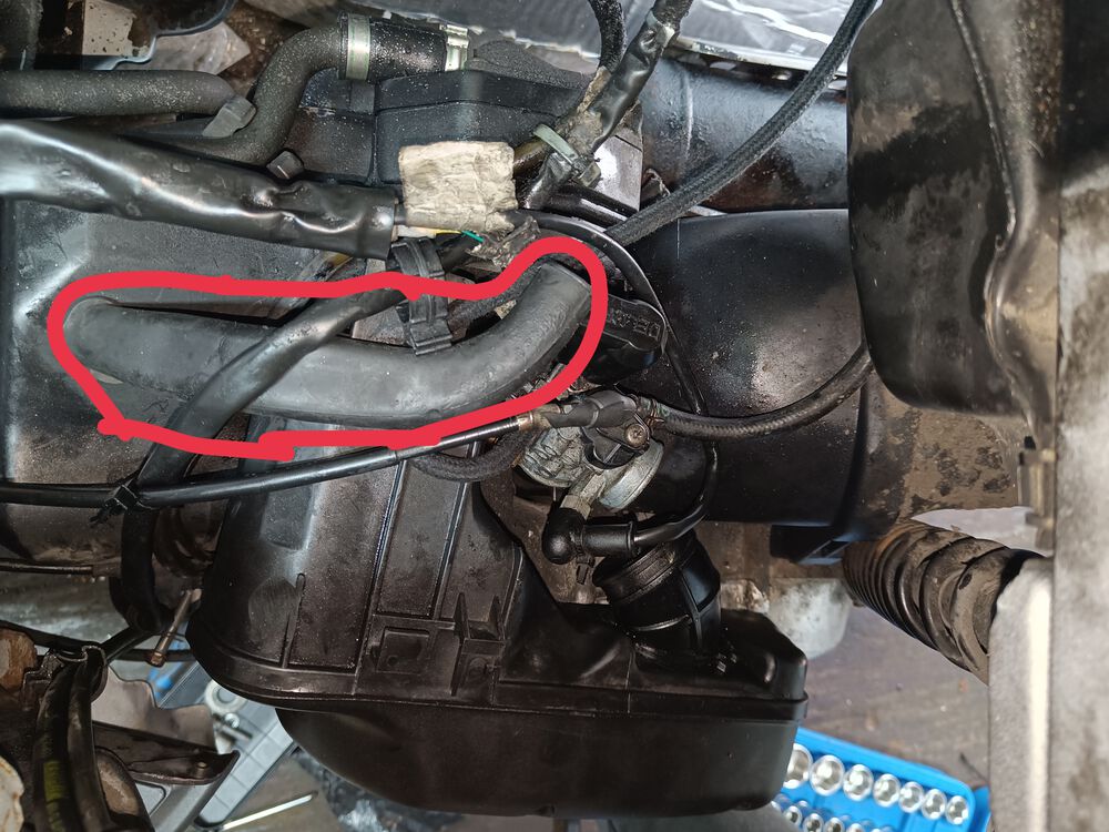 Forum member supplied image with no explanatory text