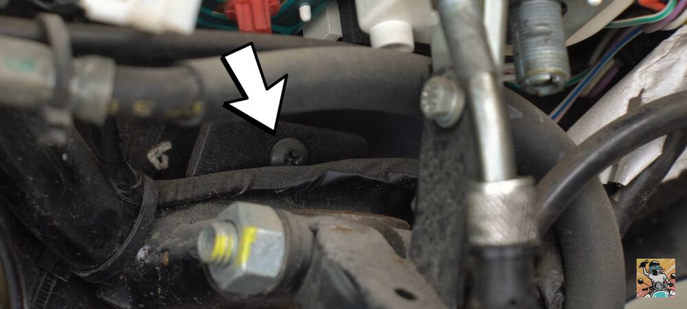 Forum member supplied image with no explanatory text