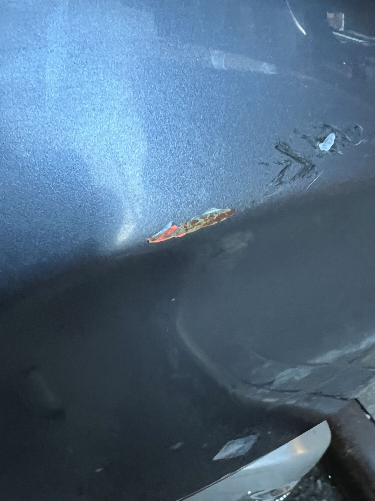 Forum member supplied image with no explanatory text