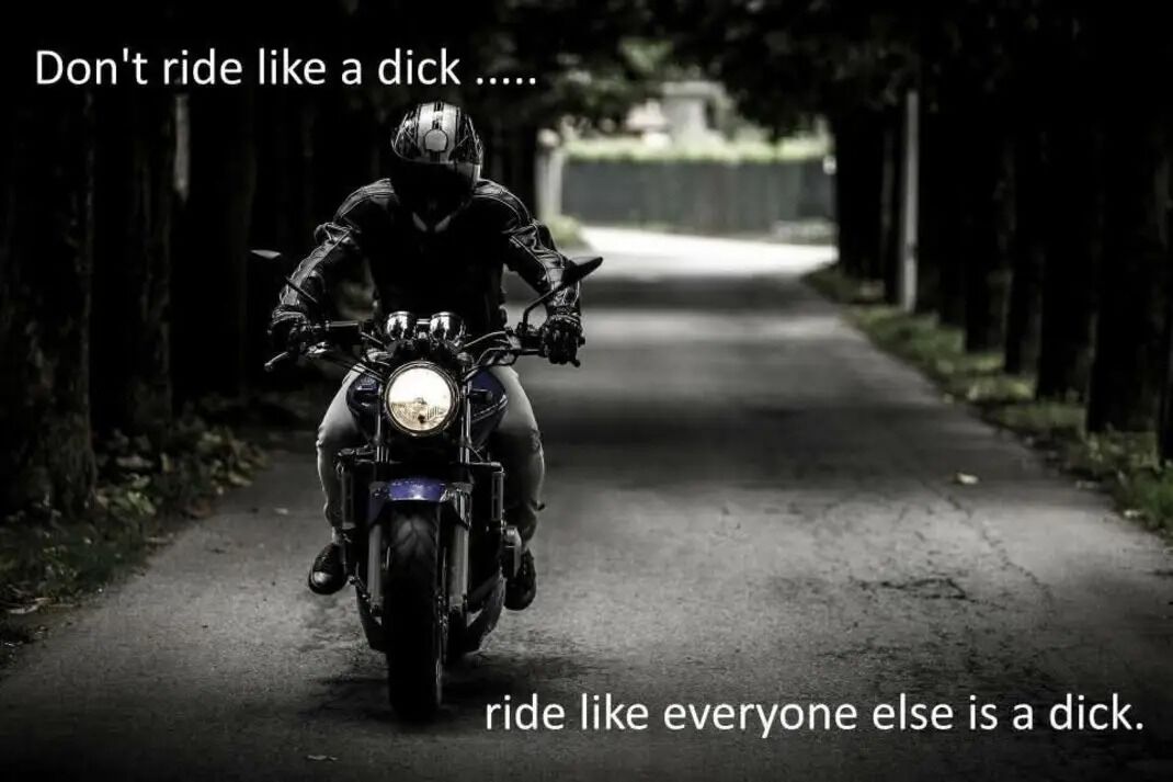 Forum member supplied image with no explanatory text