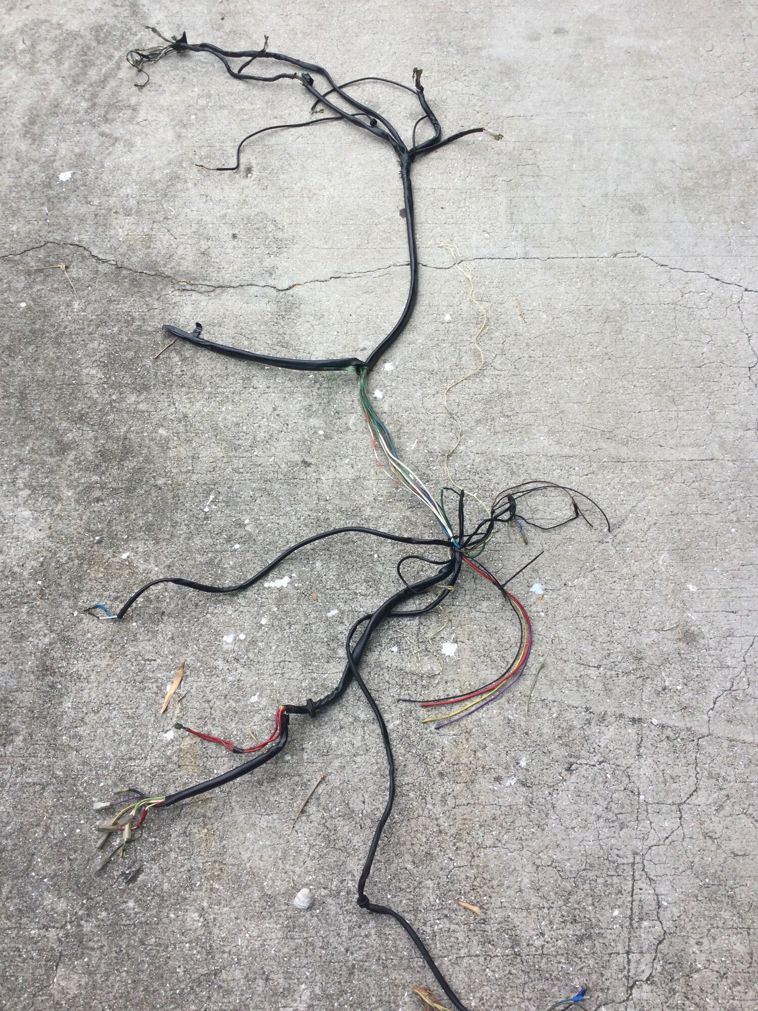 Forum member supplied image with no explanatory text