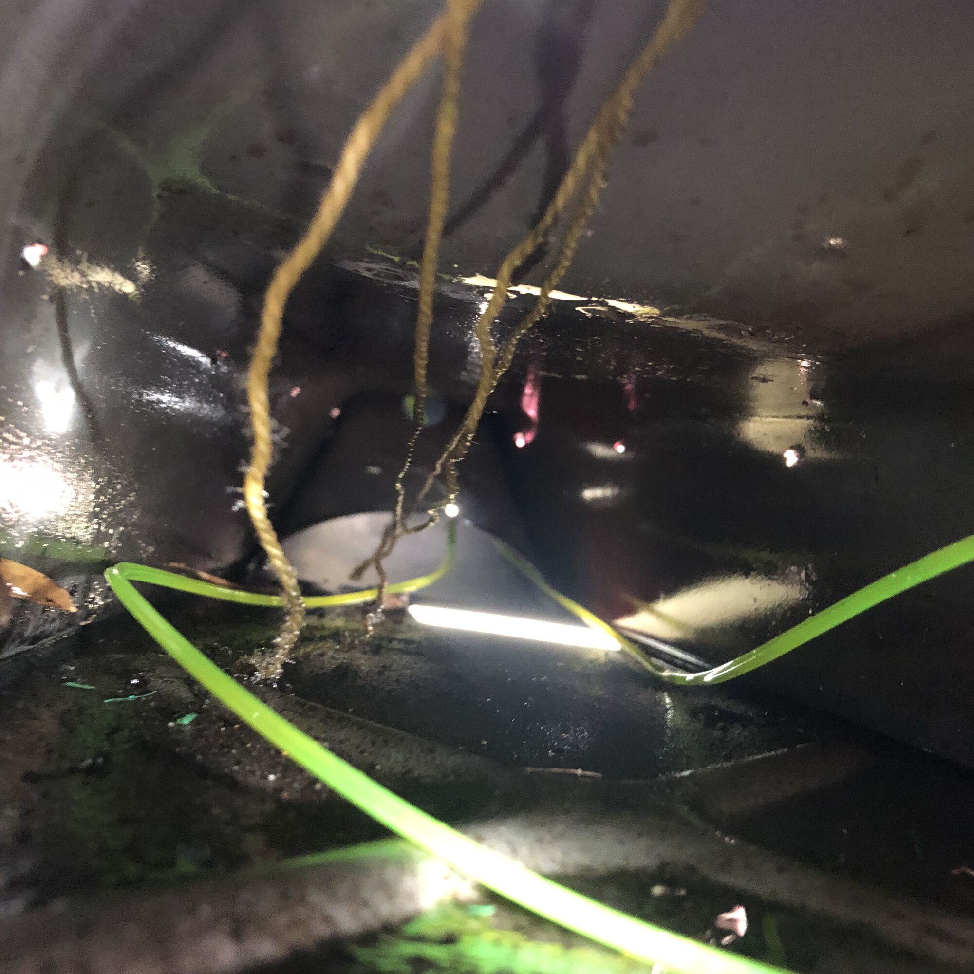 at least, the tunnel, looks good, my wive bought this scooter an ebay for 2500$ in 2015, for my birthday,  she has no idea about vespa, but she sure picked a good one, had little rust before , hurricane Ian, flooded her with 3 1/2 feet of  saltwater,