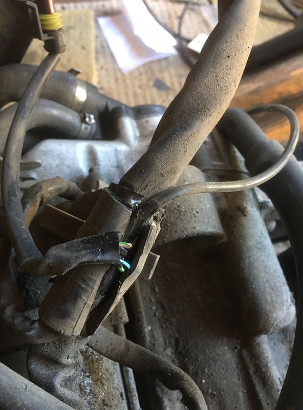 Forum member supplied image with no explanatory text