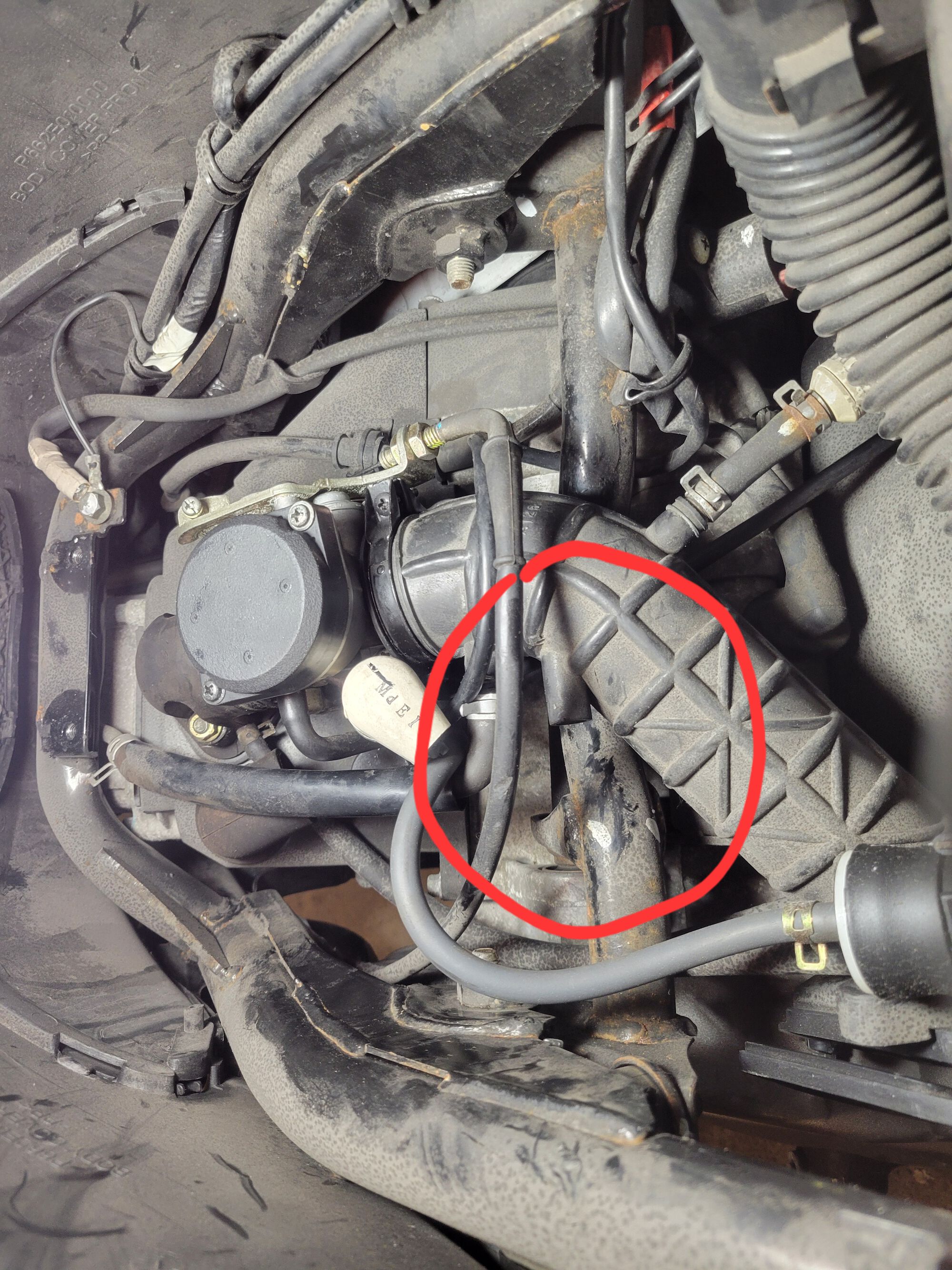 Forum member supplied image with no explanatory text