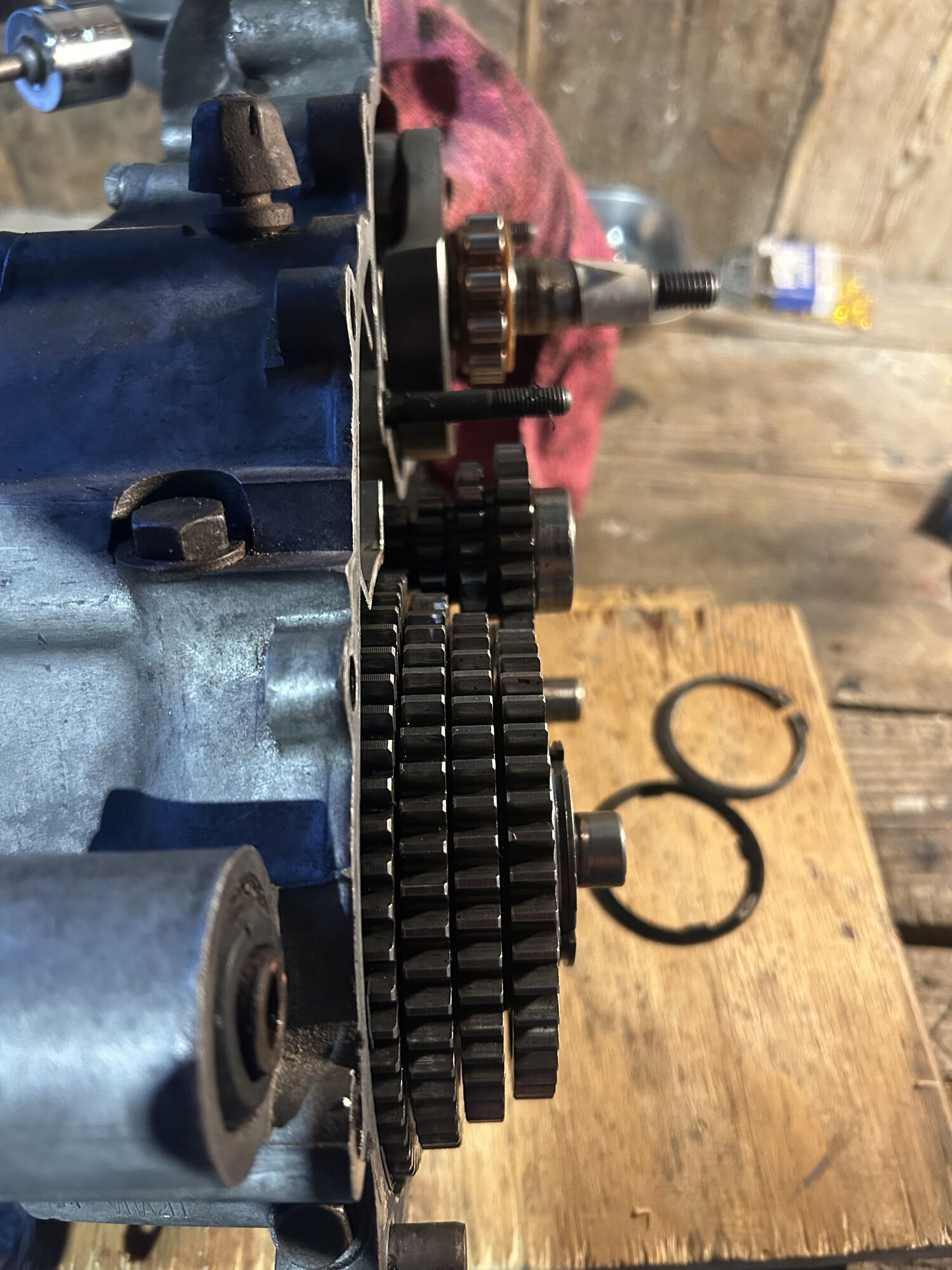 Forum member supplied image with no explanatory text