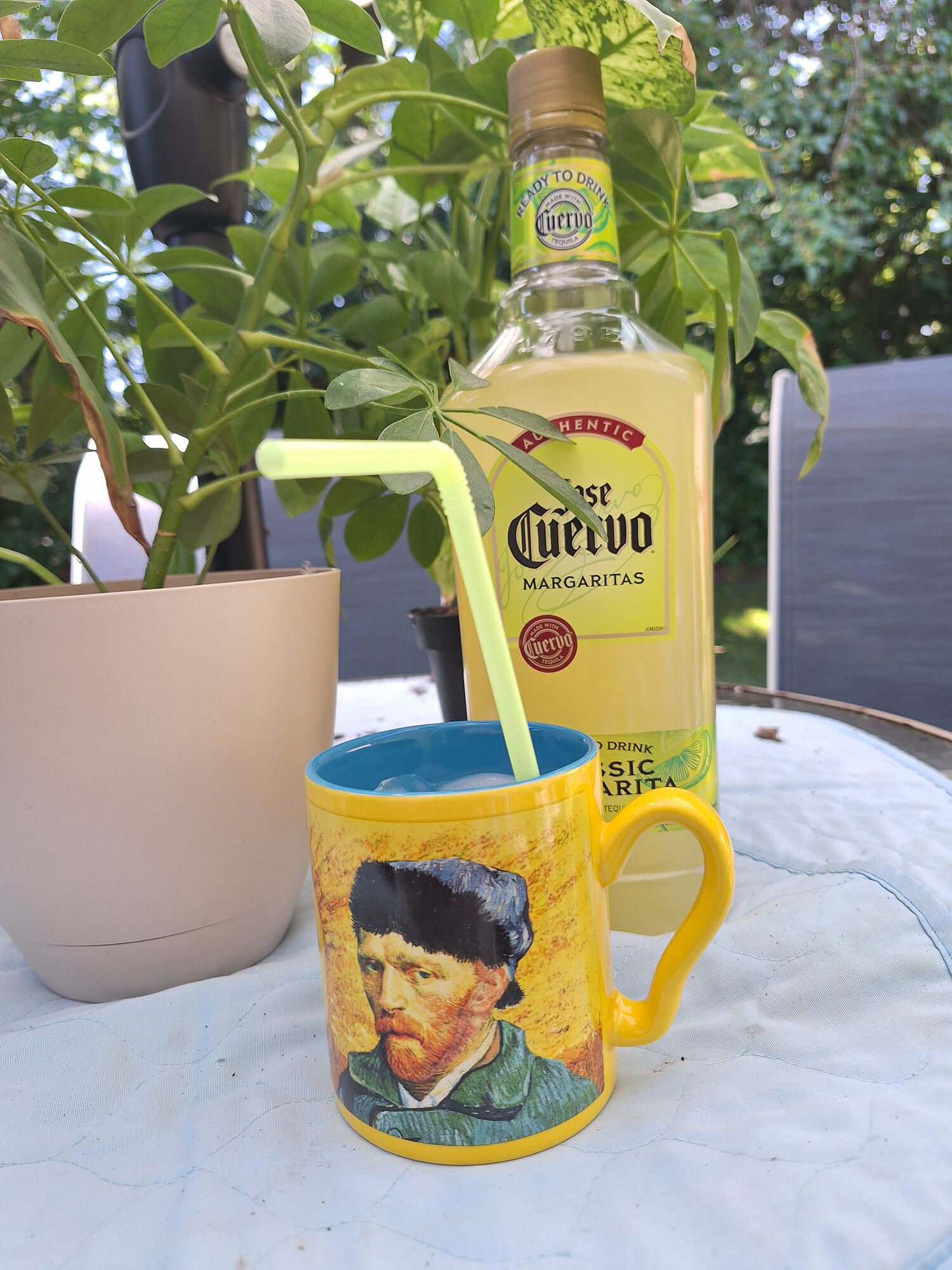 Forum member supplied image with no explanatory text