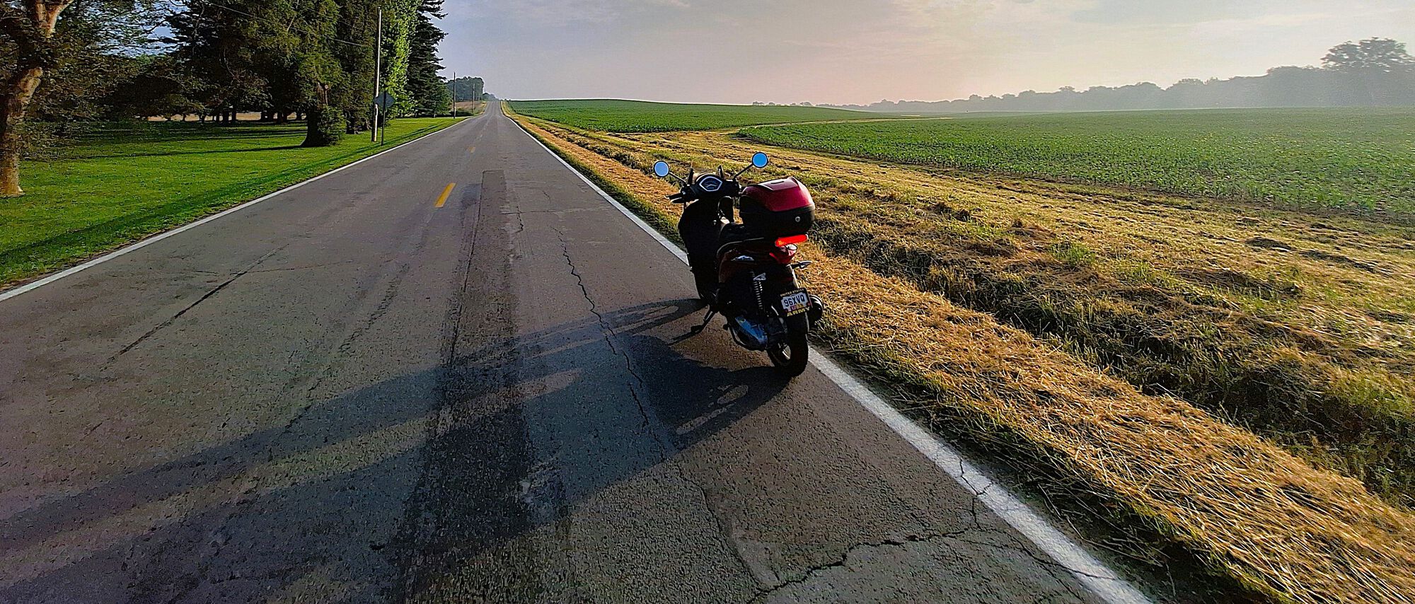 Forum member supplied image with no explanatory text