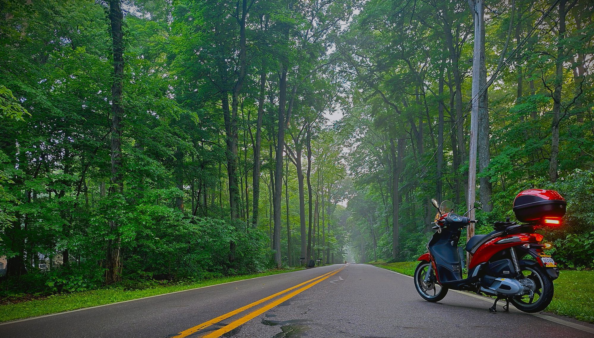 Forum member supplied image with no explanatory text