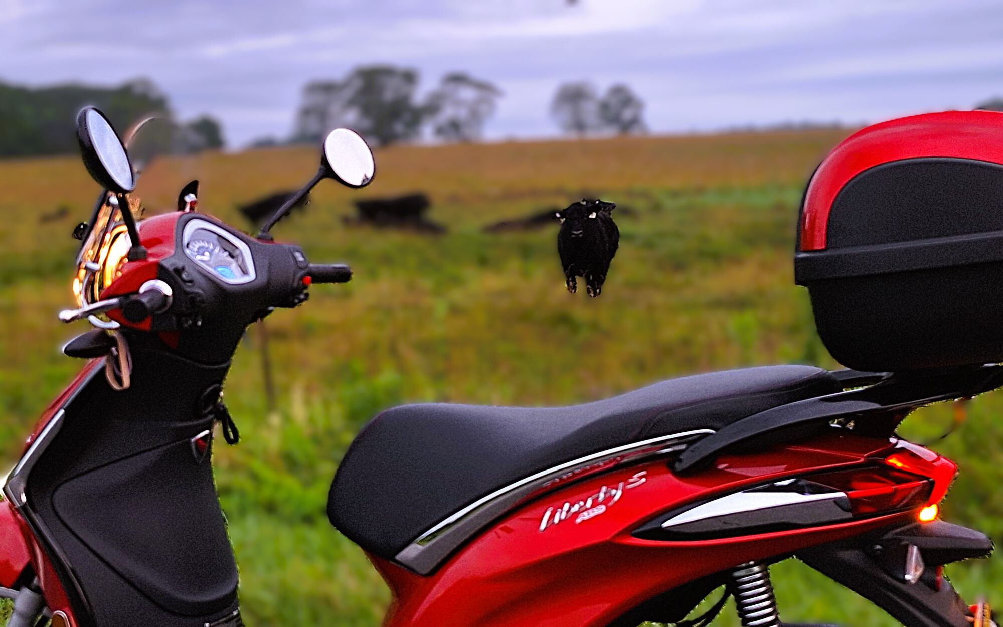 Forum member supplied image with no explanatory text