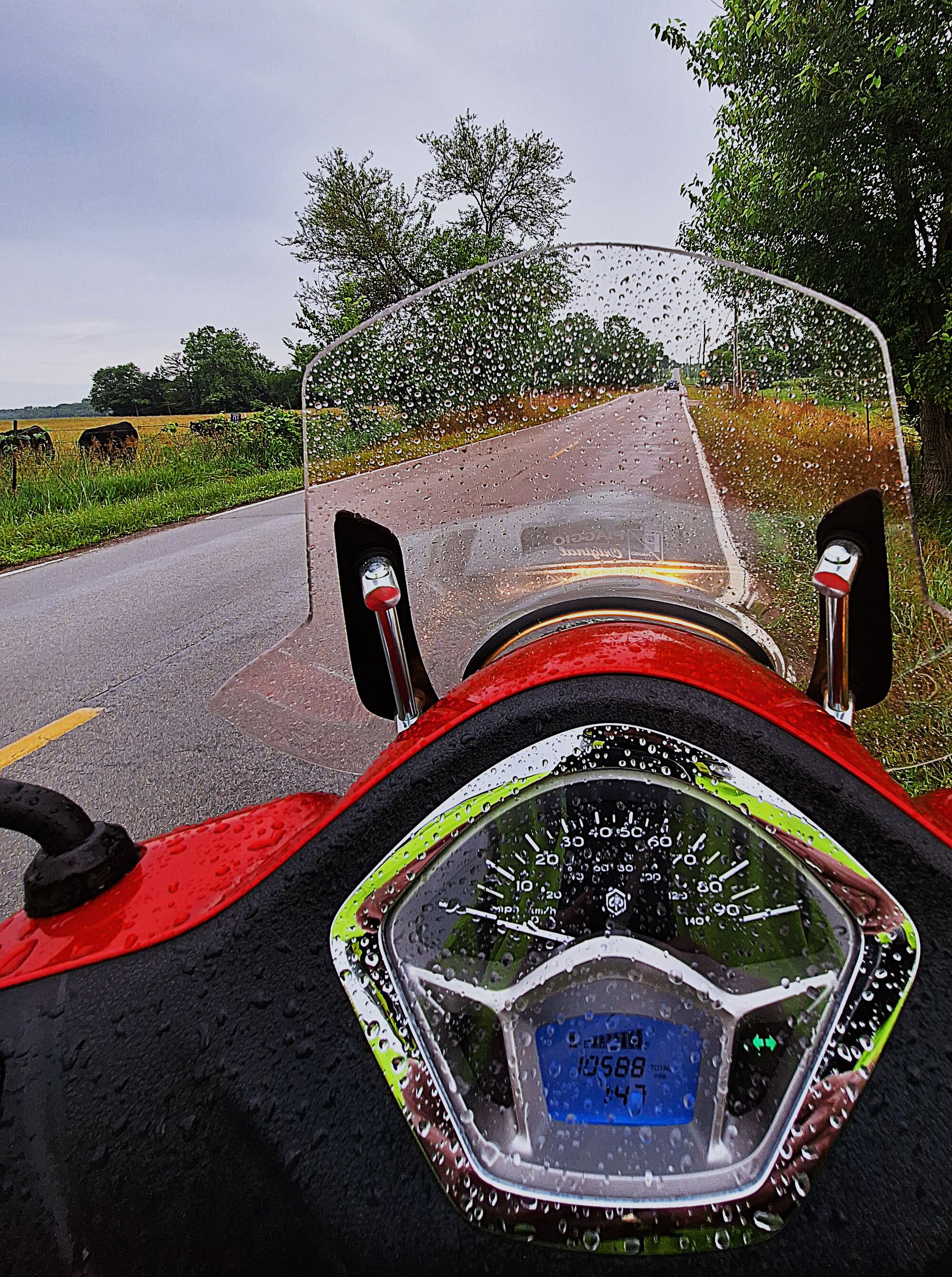 Forum member supplied image with no explanatory text