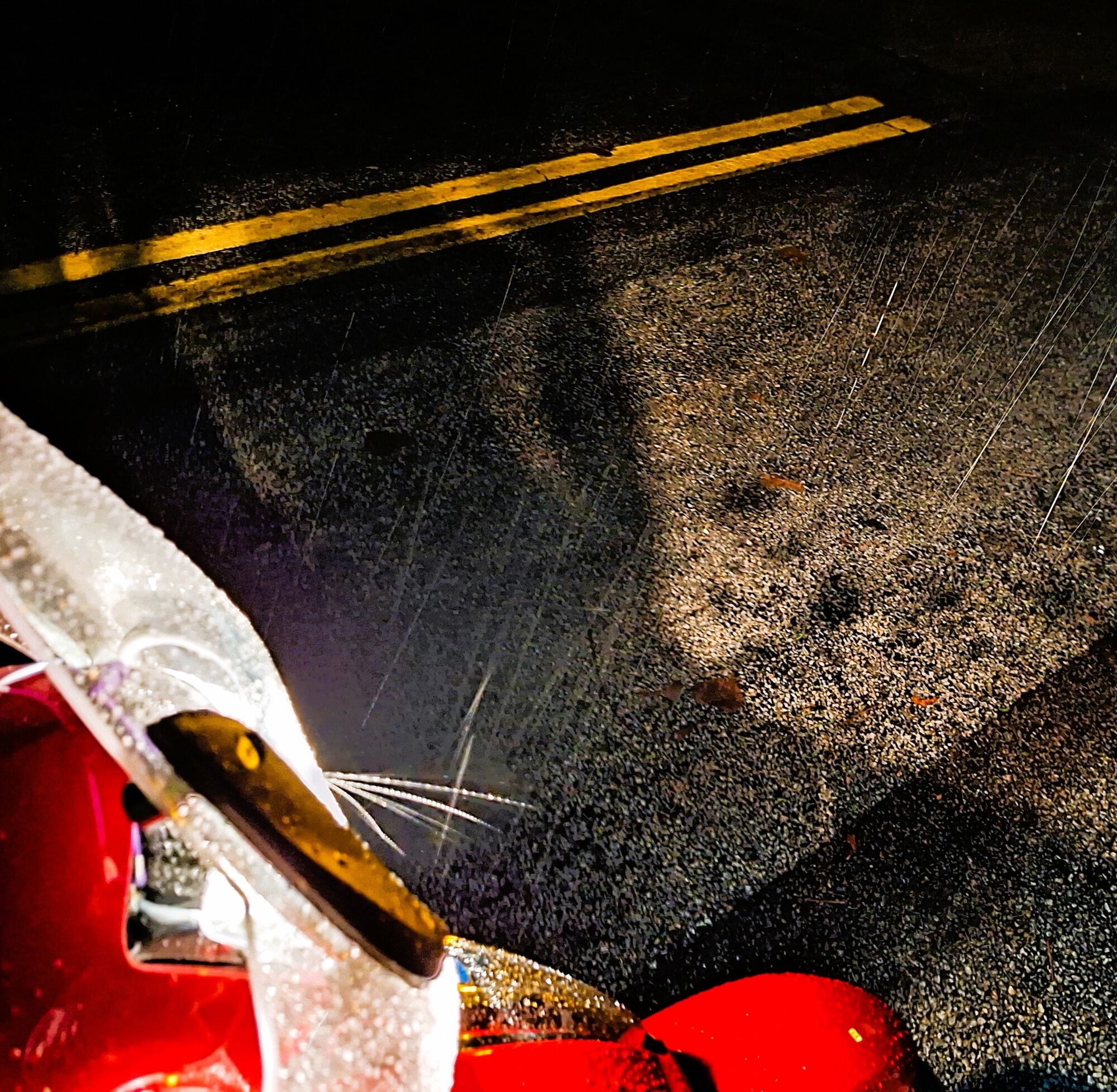 it rained pretty hard. bouncing off the headlight. OK - so talked to employee in Tom's market - Group W was "temporarily" removed. If not - we'll ask the local celeb to buy that whole side of the street!