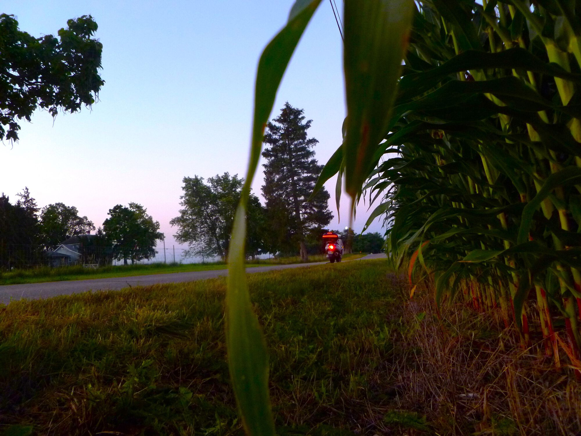 Forum member supplied image with no explanatory text