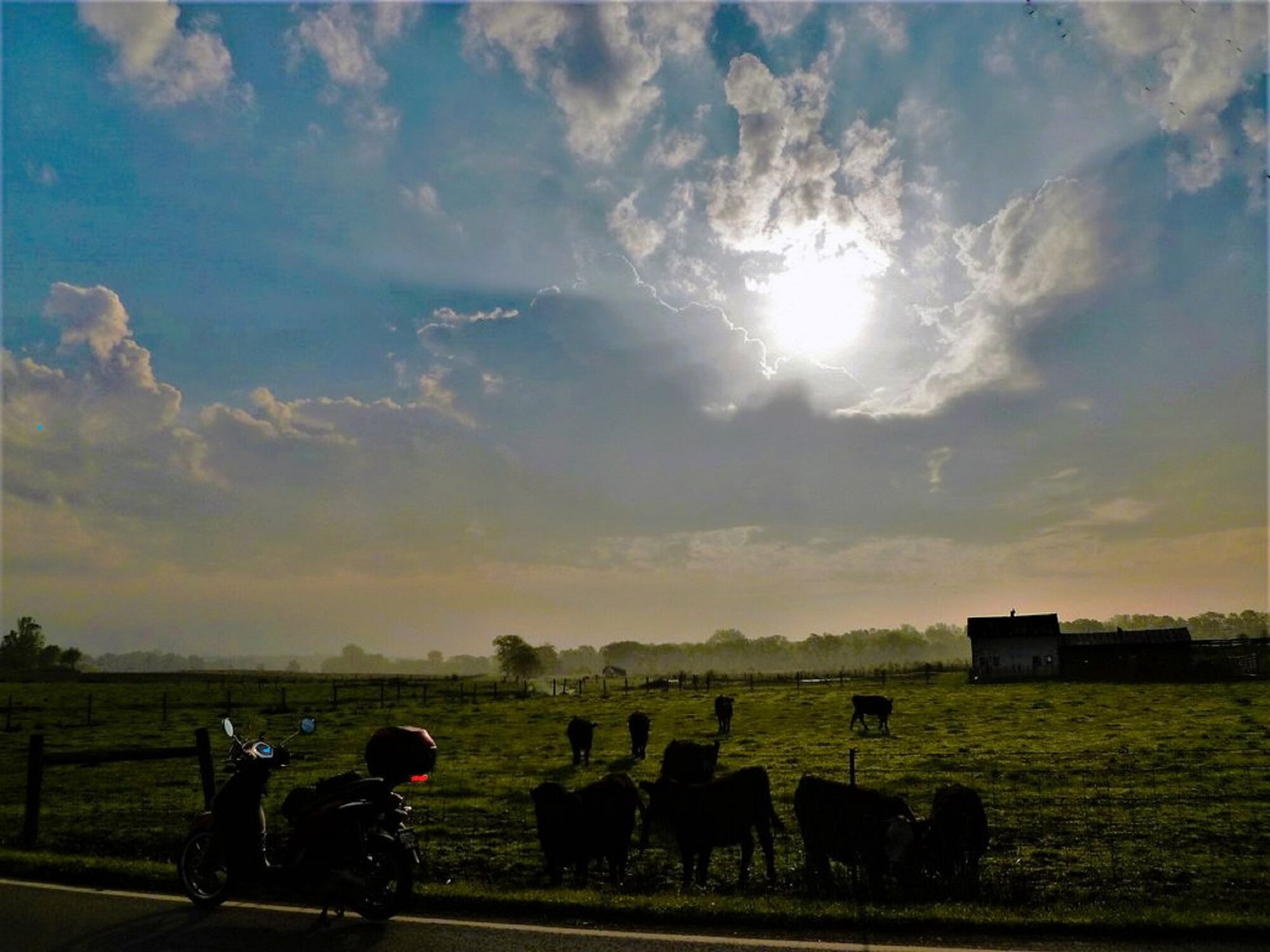 Forum member supplied image with no explanatory text