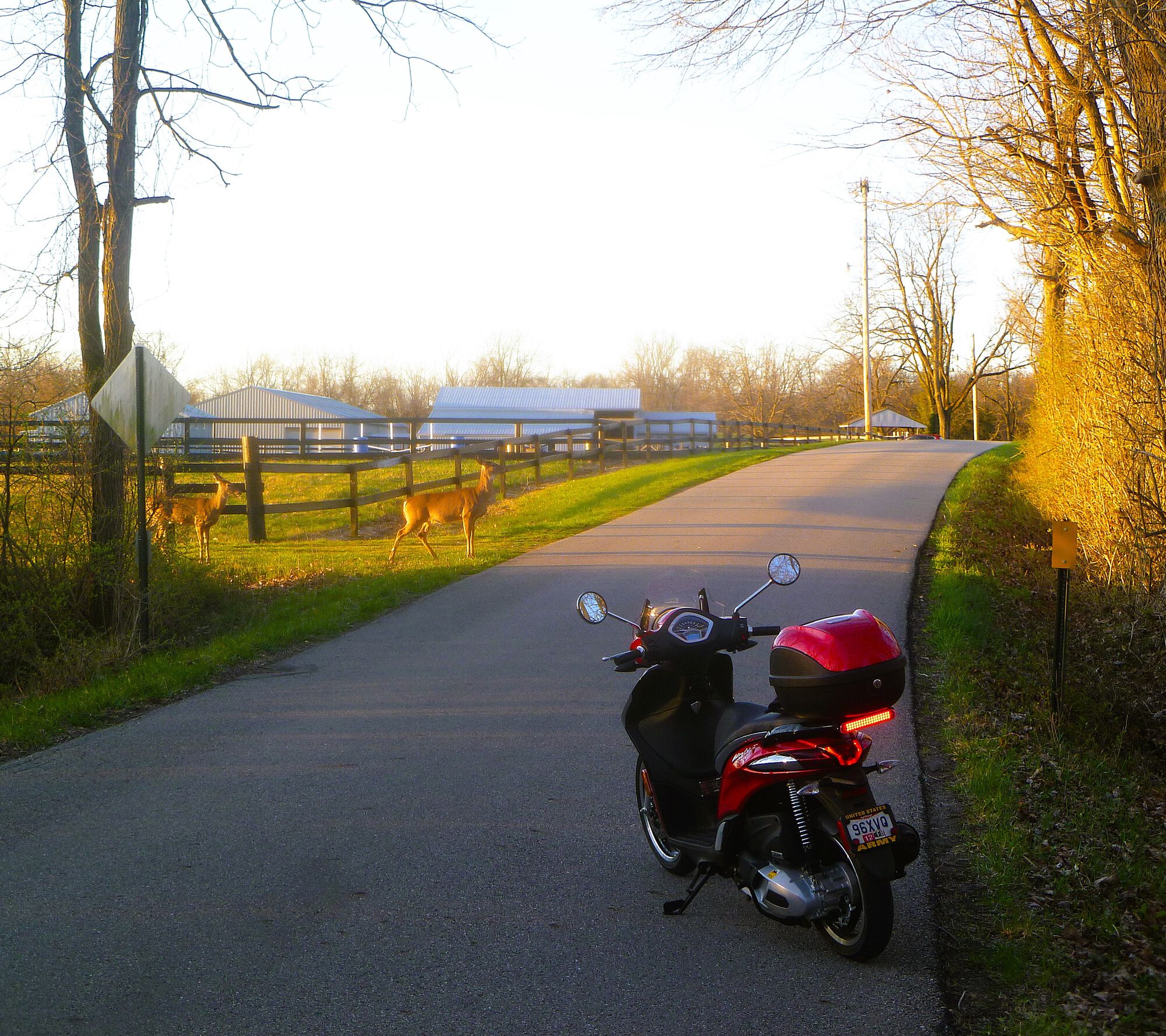 I had to smile here this morning. I stepped off to take a pic of the early morning road. Turned around and , "well!....hello there" (the liberty is that quiet!)