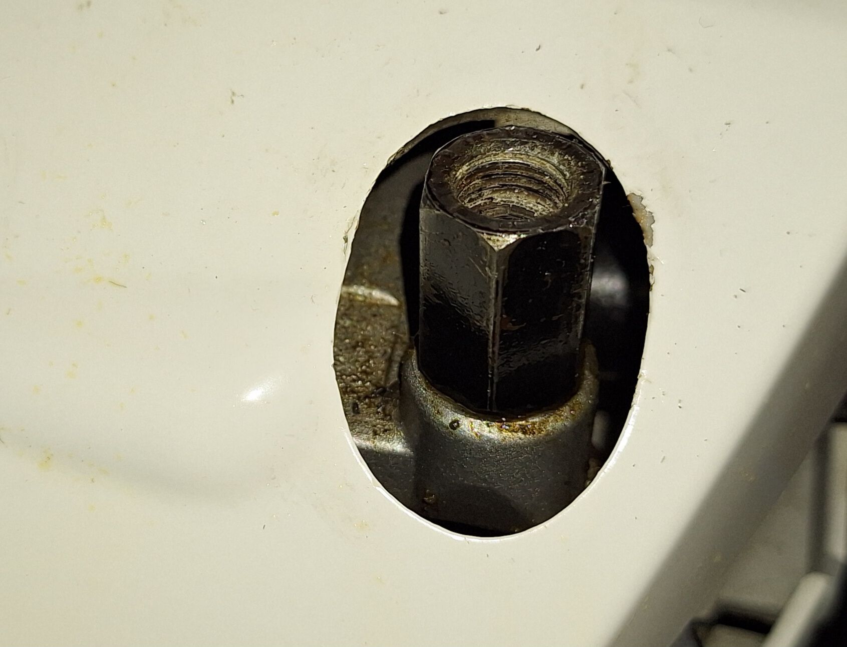 Forum member supplied image with no explanatory text
