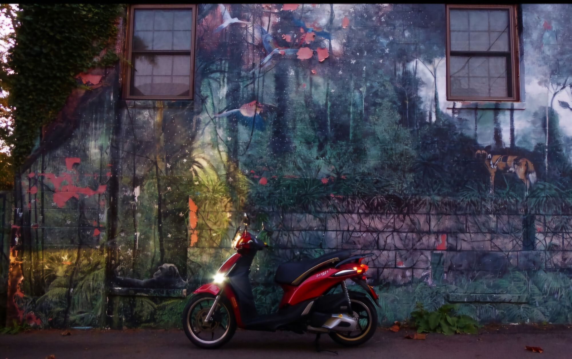 Forum member supplied image with no explanatory text