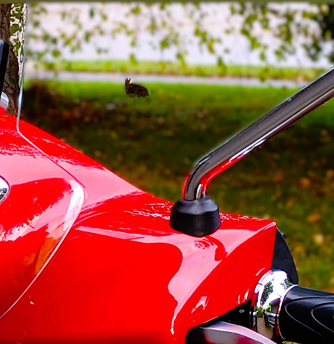 swapped out the black "S" model mirrors for chrome....