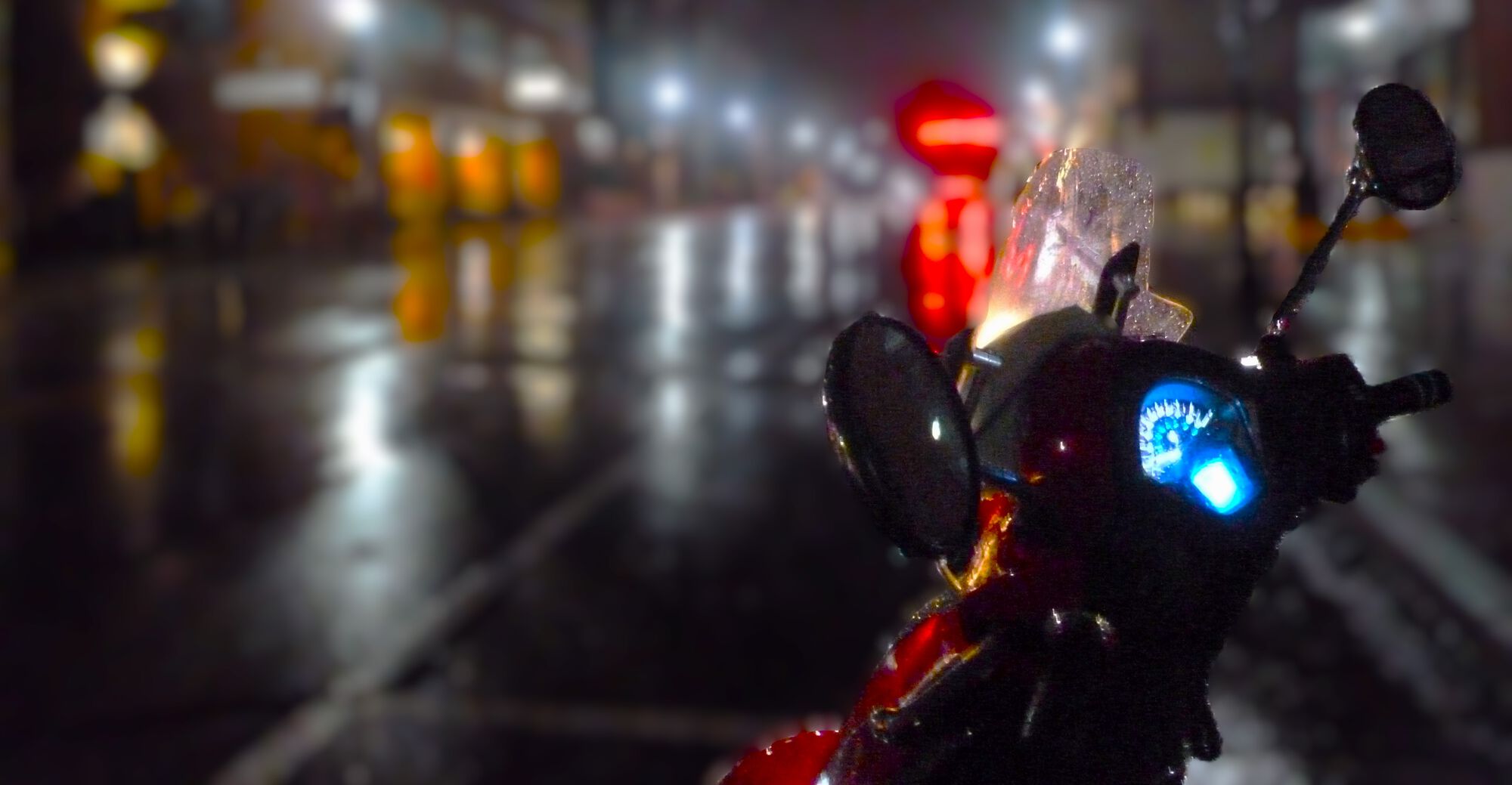 Forum member supplied image with no explanatory text