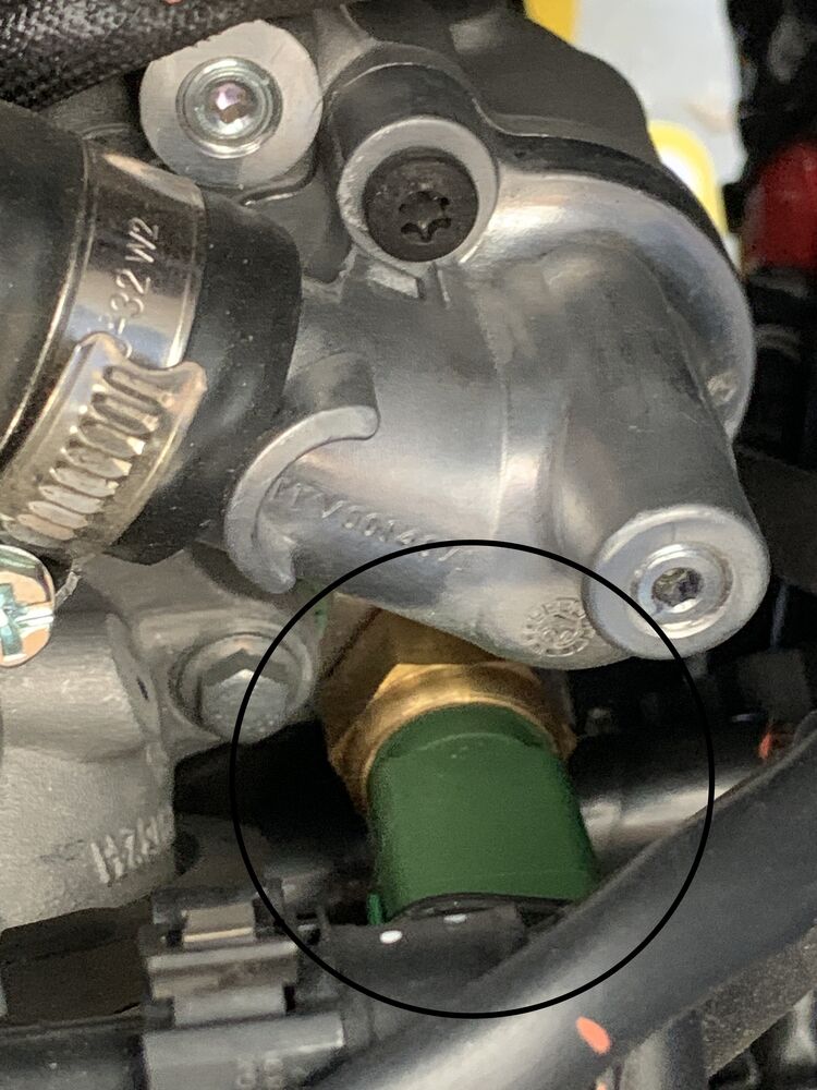 Forum member supplied image with no explanatory text