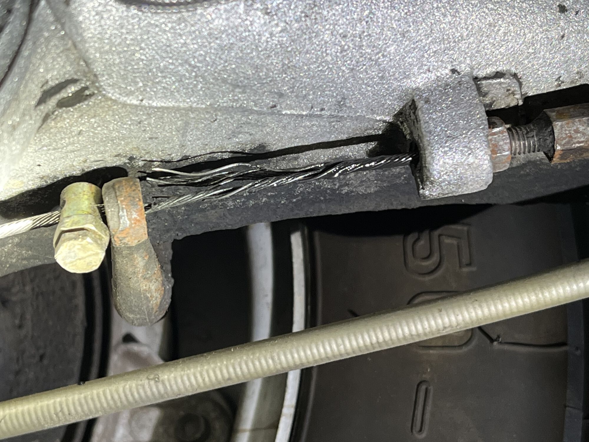 Forum member supplied image with no explanatory text