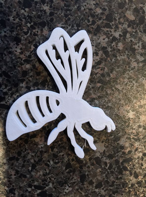 Forum member supplied image with no explanatory text