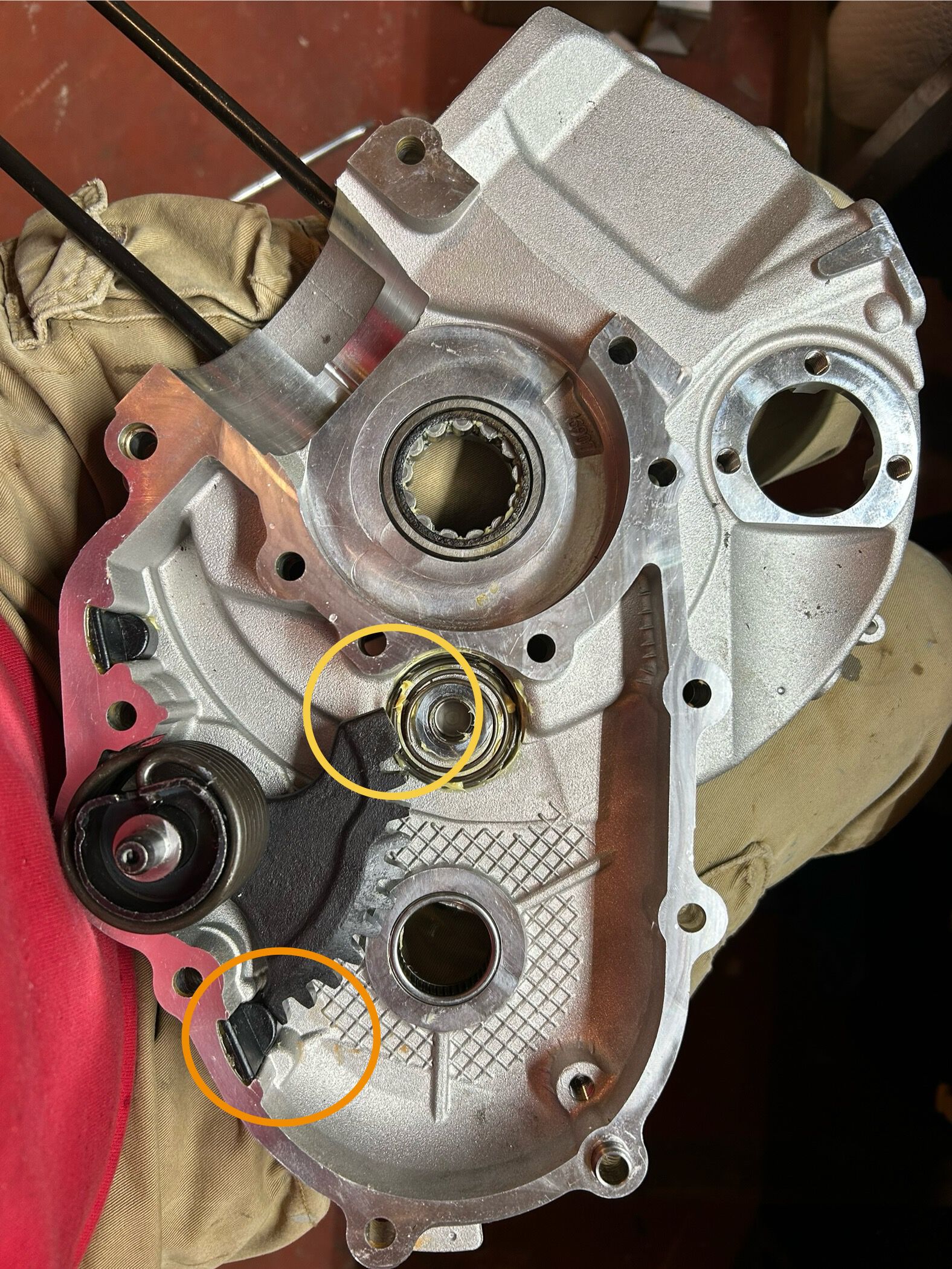 Forum member supplied image with no explanatory text