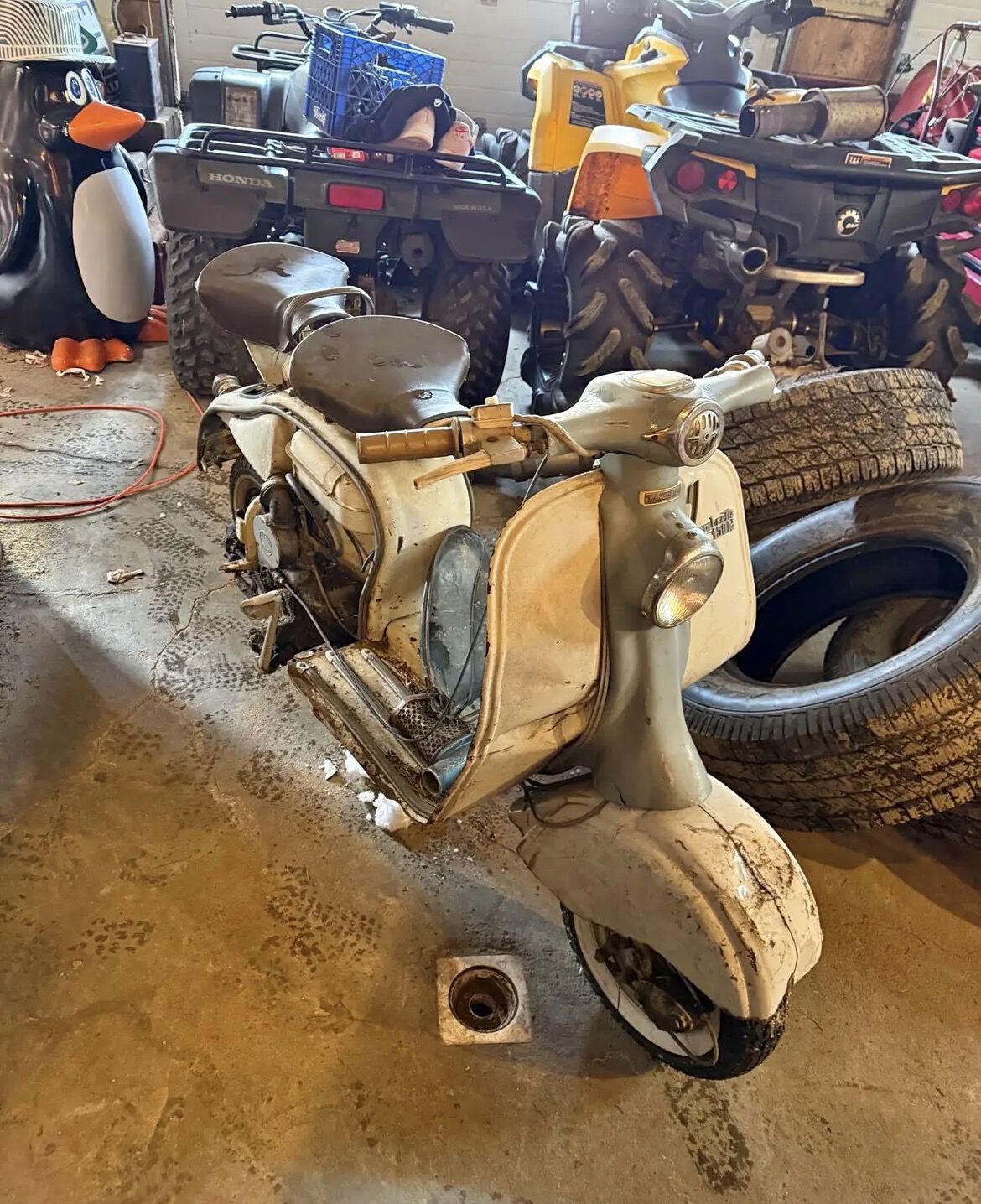 Forum member supplied image with no explanatory text
