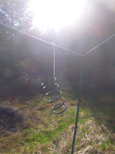 Forum member supplied image with no explanatory text