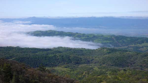 It was so beautiful up there, I almost ran off the road a few times.