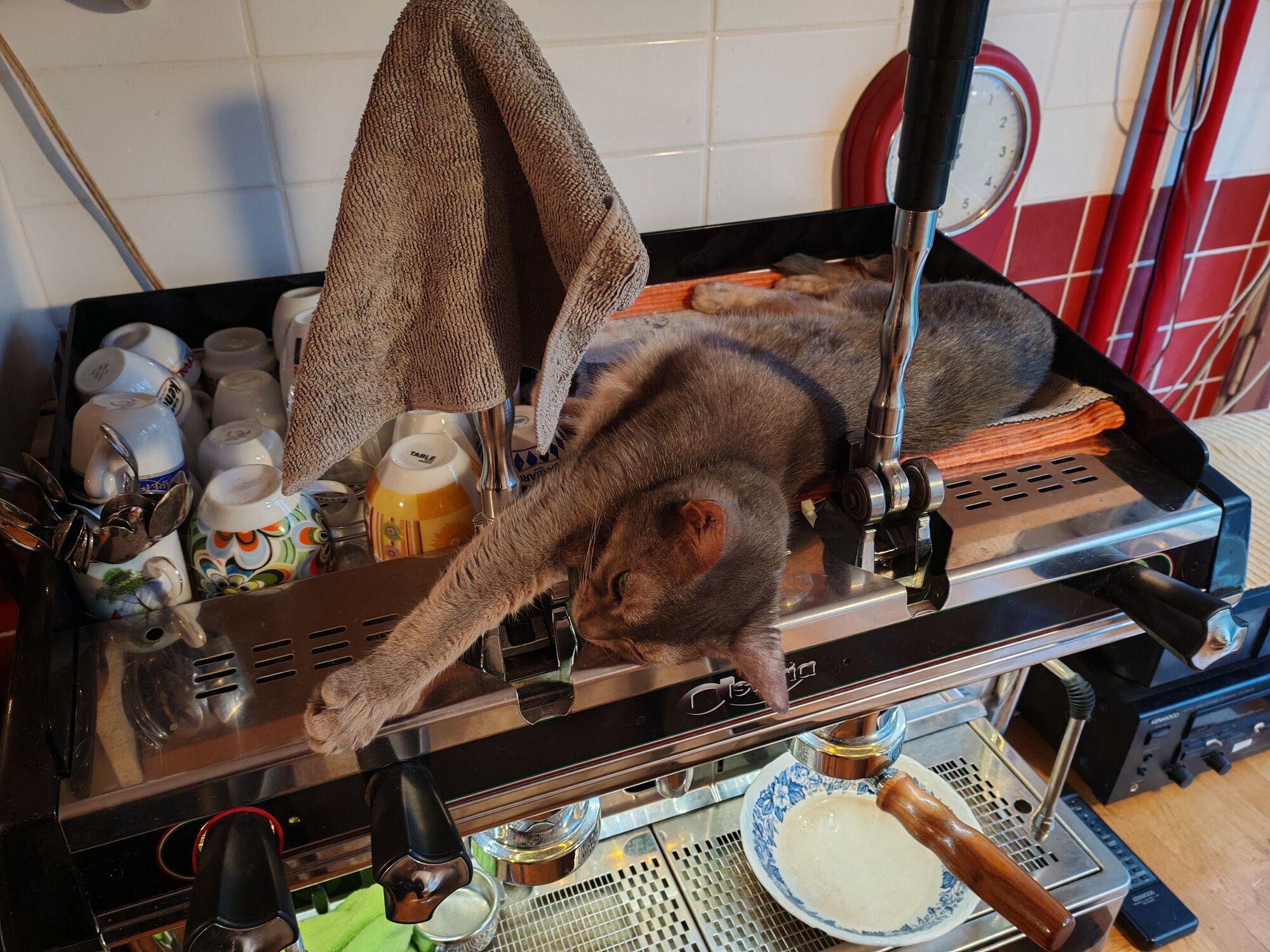 Forum member supplied image with no explanatory text