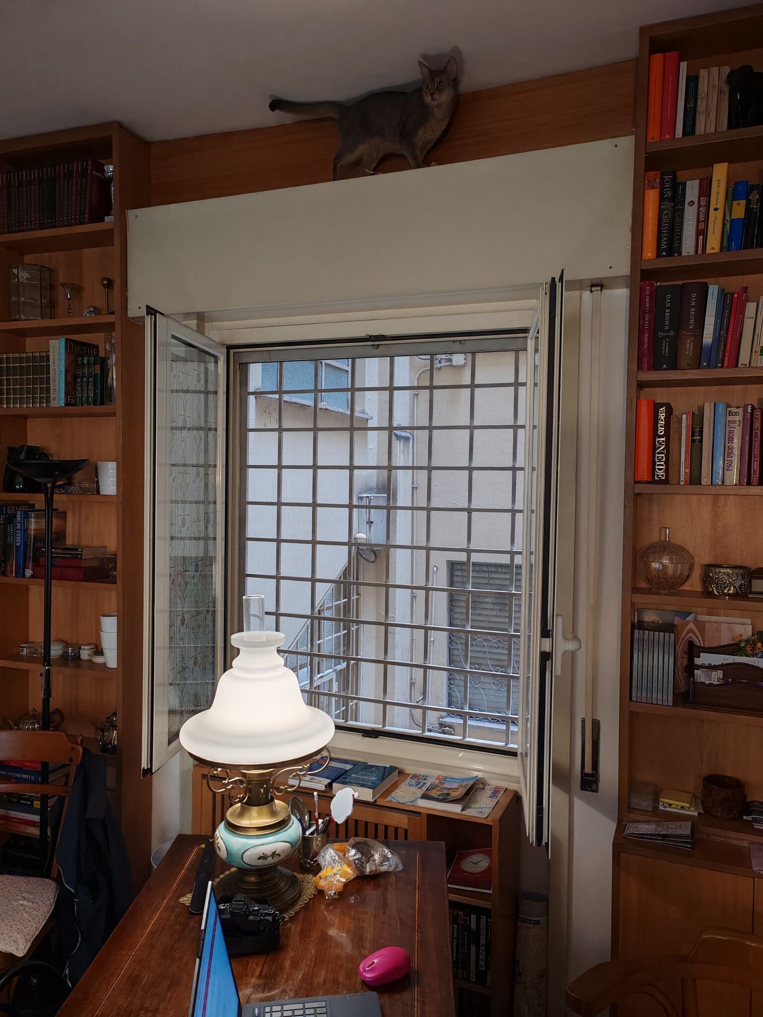 Forum member supplied image with no explanatory text