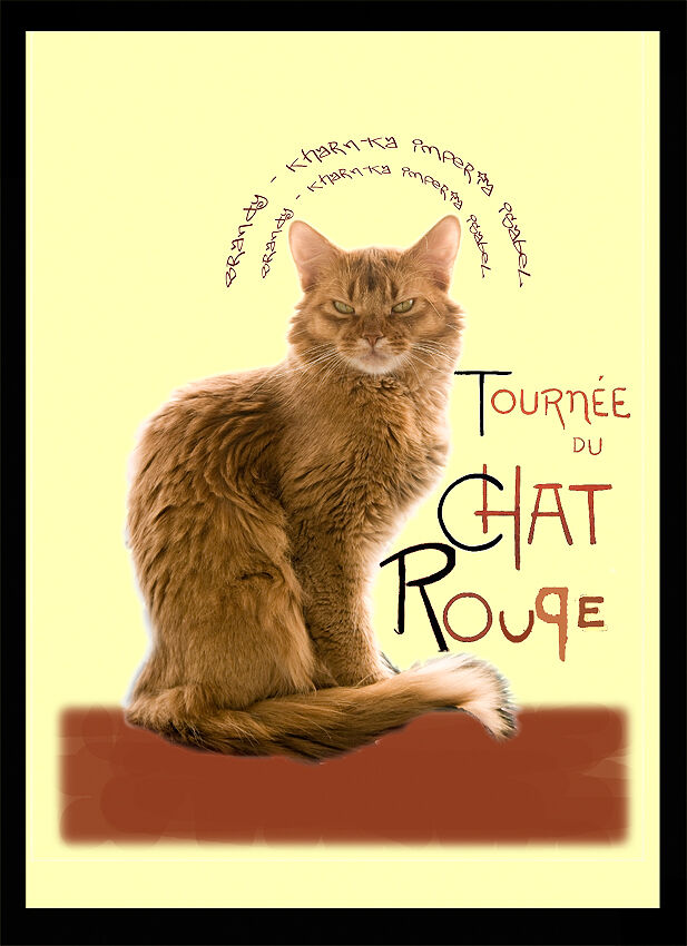 Forum member supplied image with no explanatory text