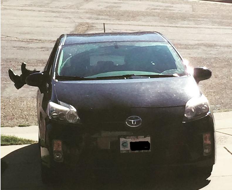 Forum member supplied image with no explanatory text