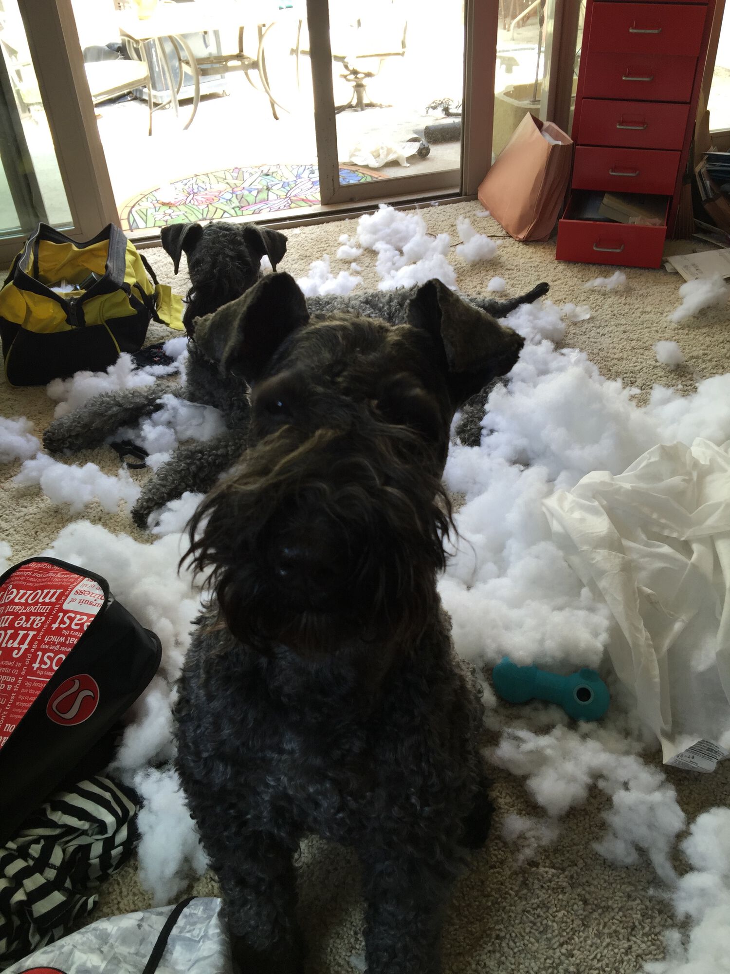 Forum member supplied image with no explanatory text