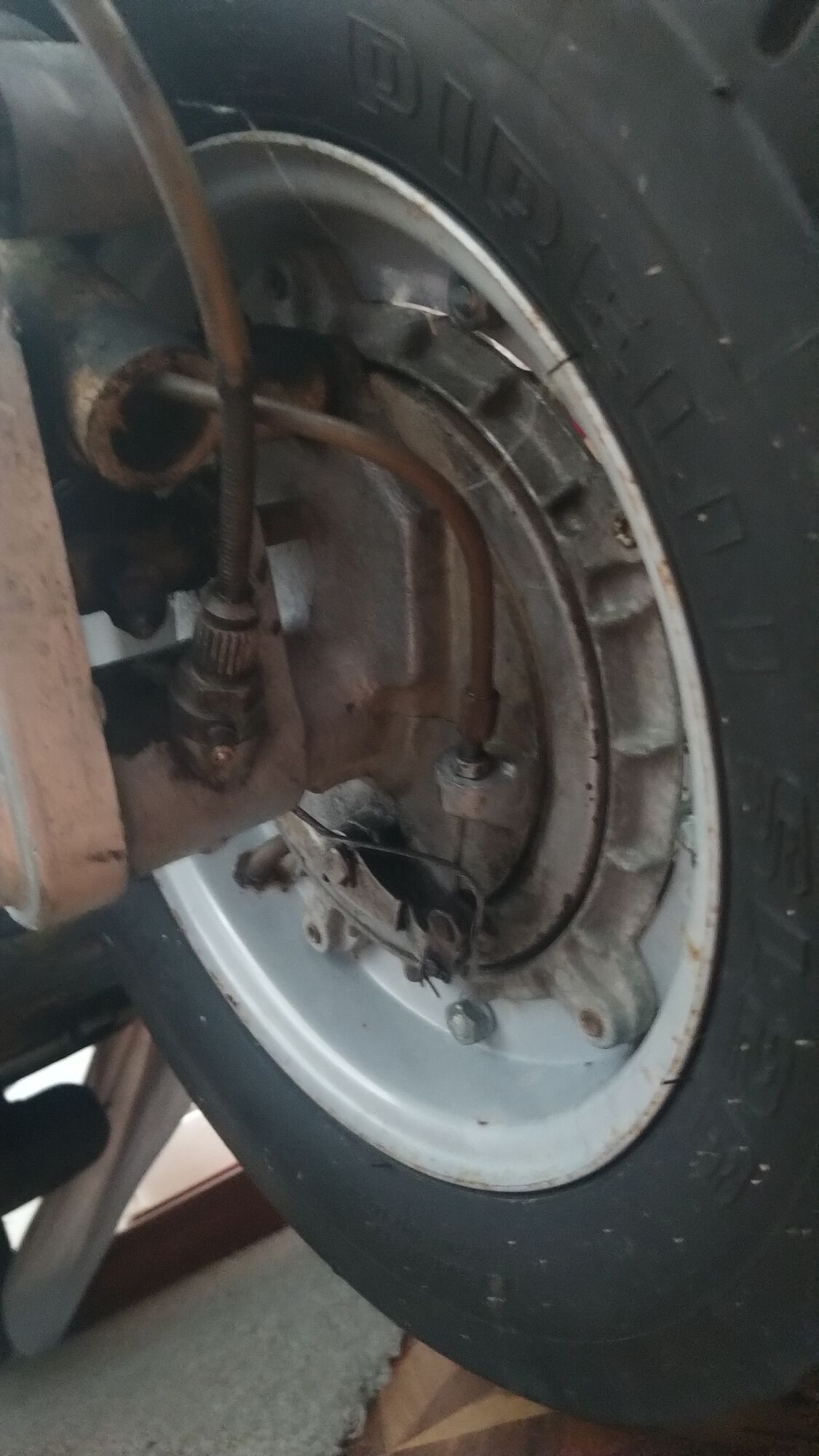 Forum member supplied image with no explanatory text