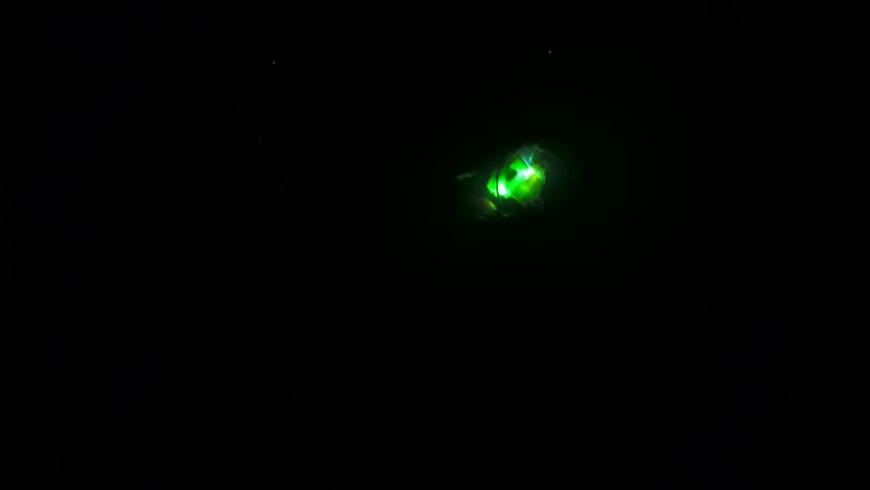 Zero light pollution.  Matt didn't believe I saw a UFO