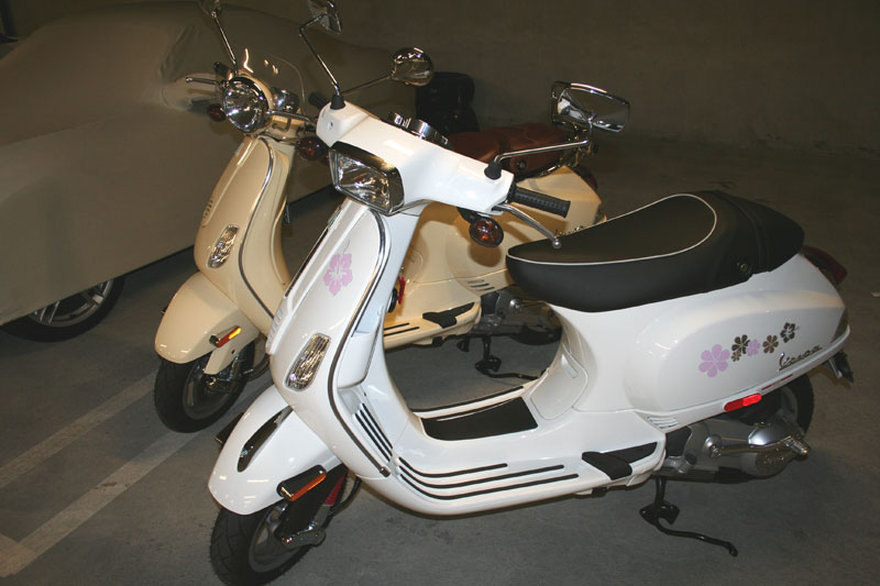 Forum member supplied image with no explanatory text