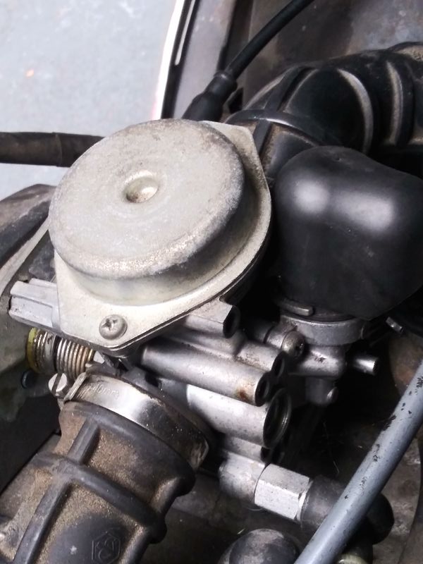 Forum member supplied image with no explanatory text