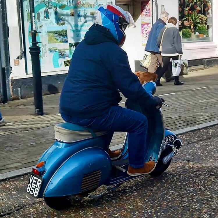 Forum member supplied image with no explanatory text