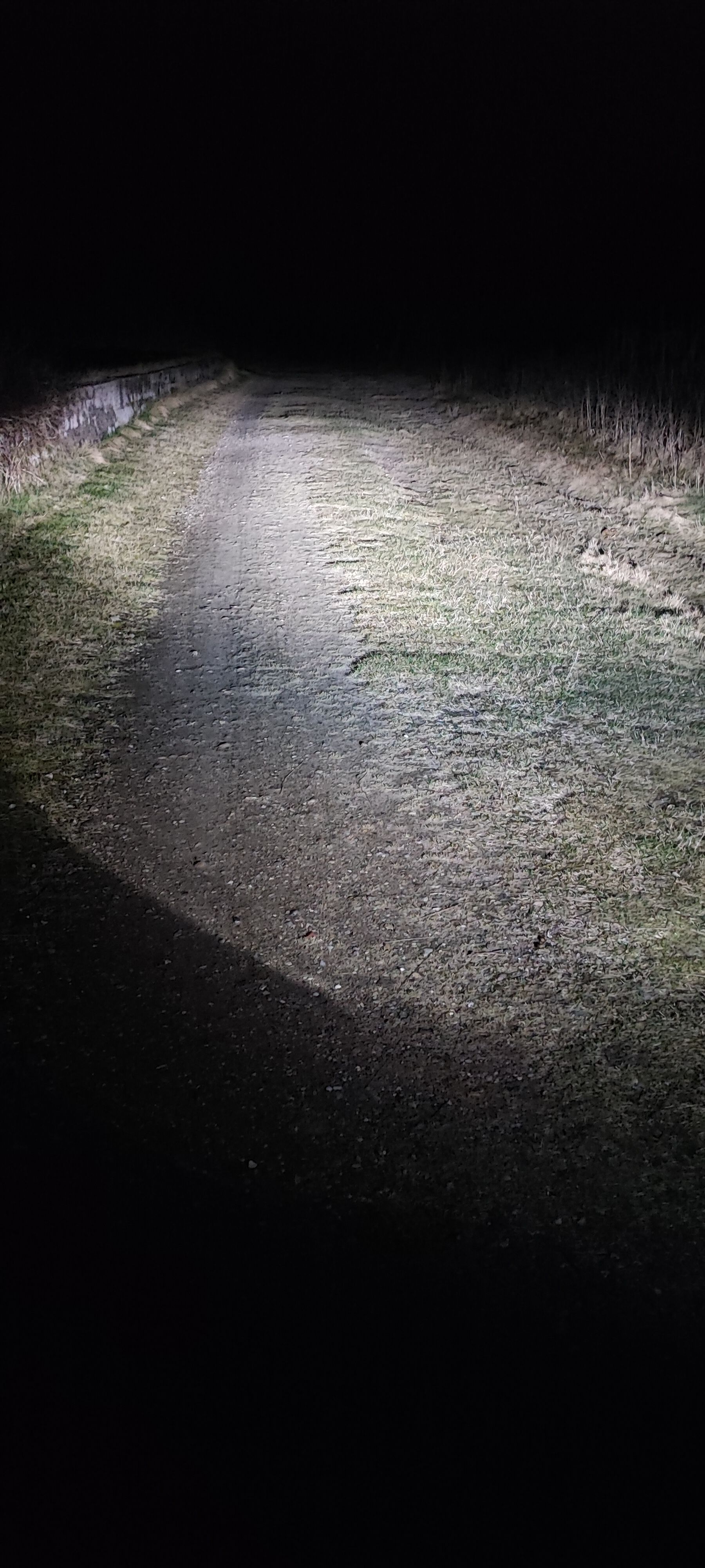 Forum member supplied image with no explanatory text