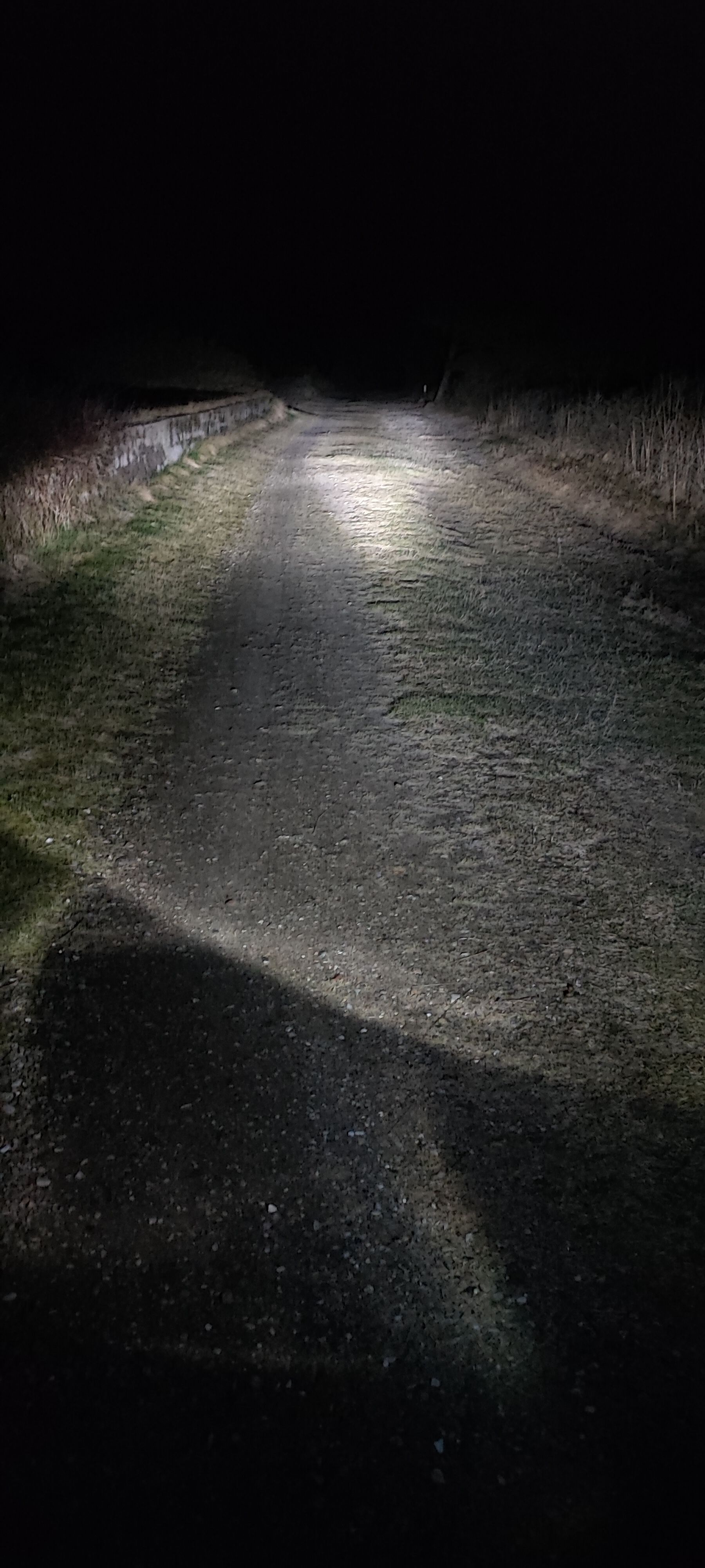 Forum member supplied image with no explanatory text