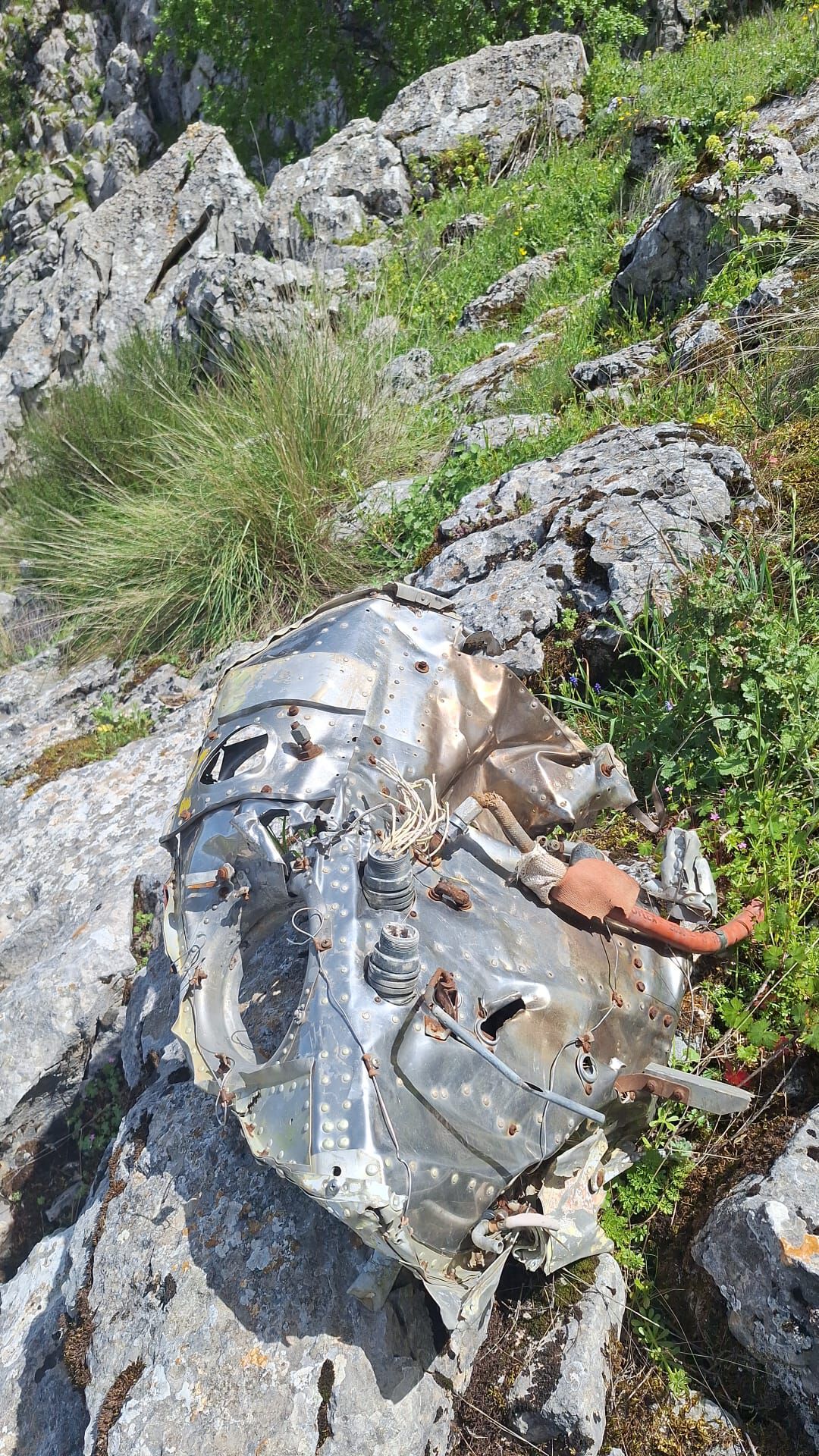 Forum member supplied image with no explanatory text