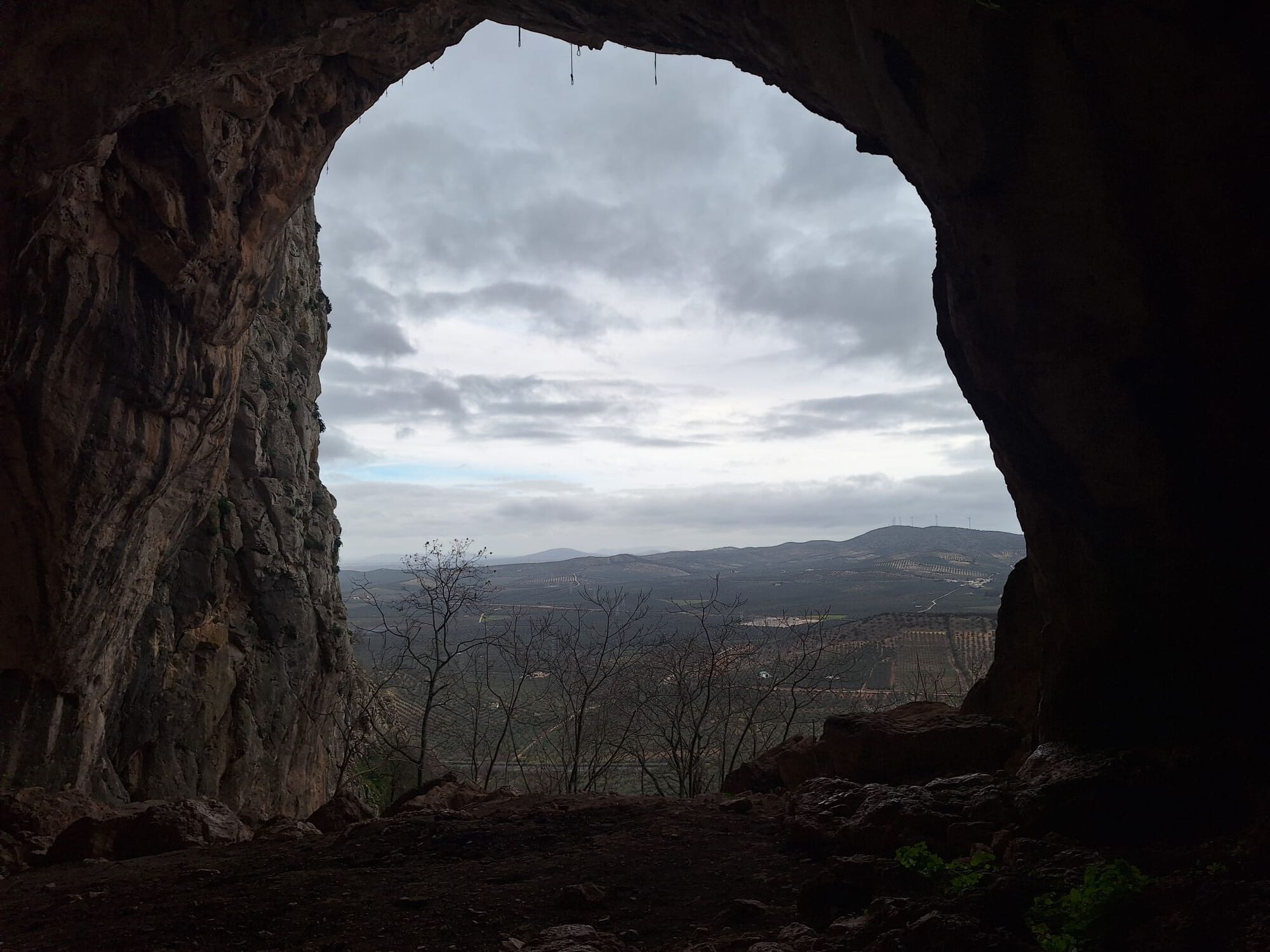 Forum member supplied image with no explanatory text