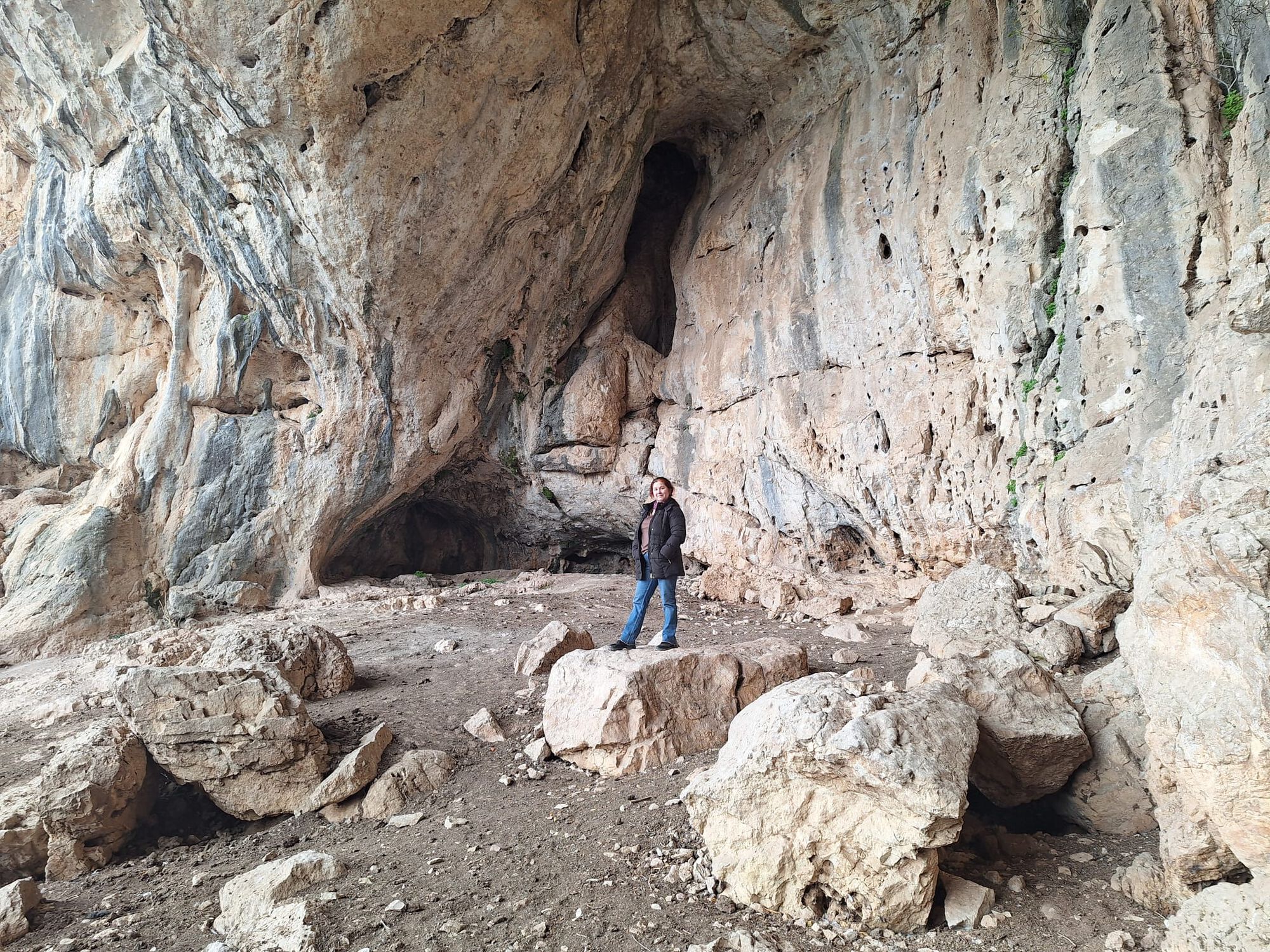 Forum member supplied image with no explanatory text