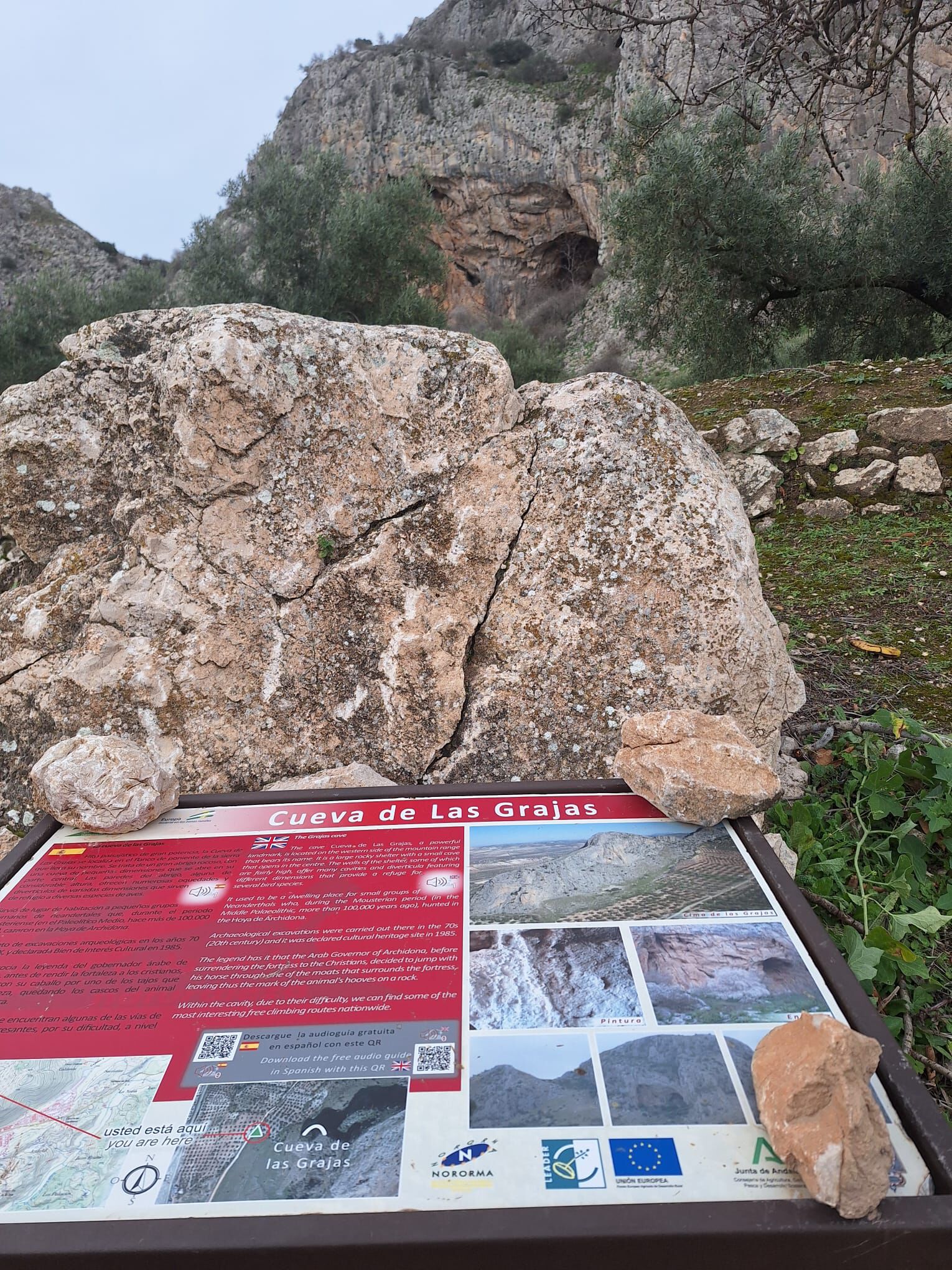 Forum member supplied image with no explanatory text