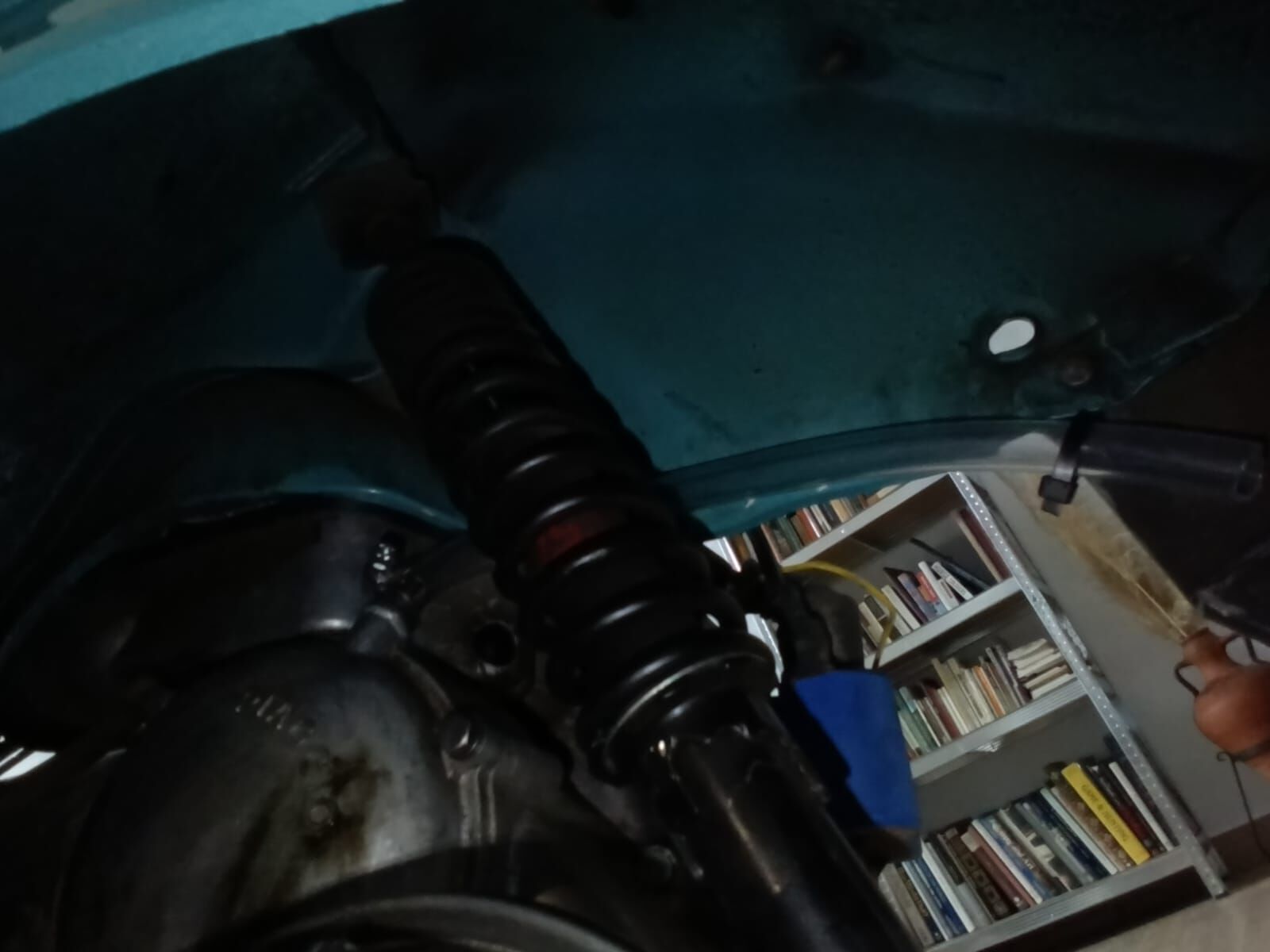 Forum member supplied image with no explanatory text