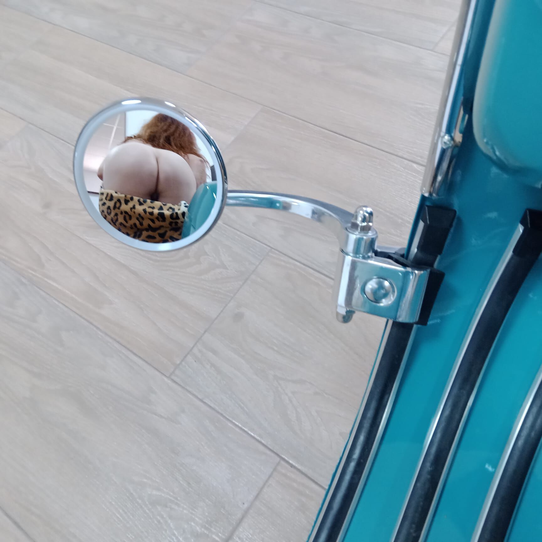 Forum member supplied image with no explanatory text