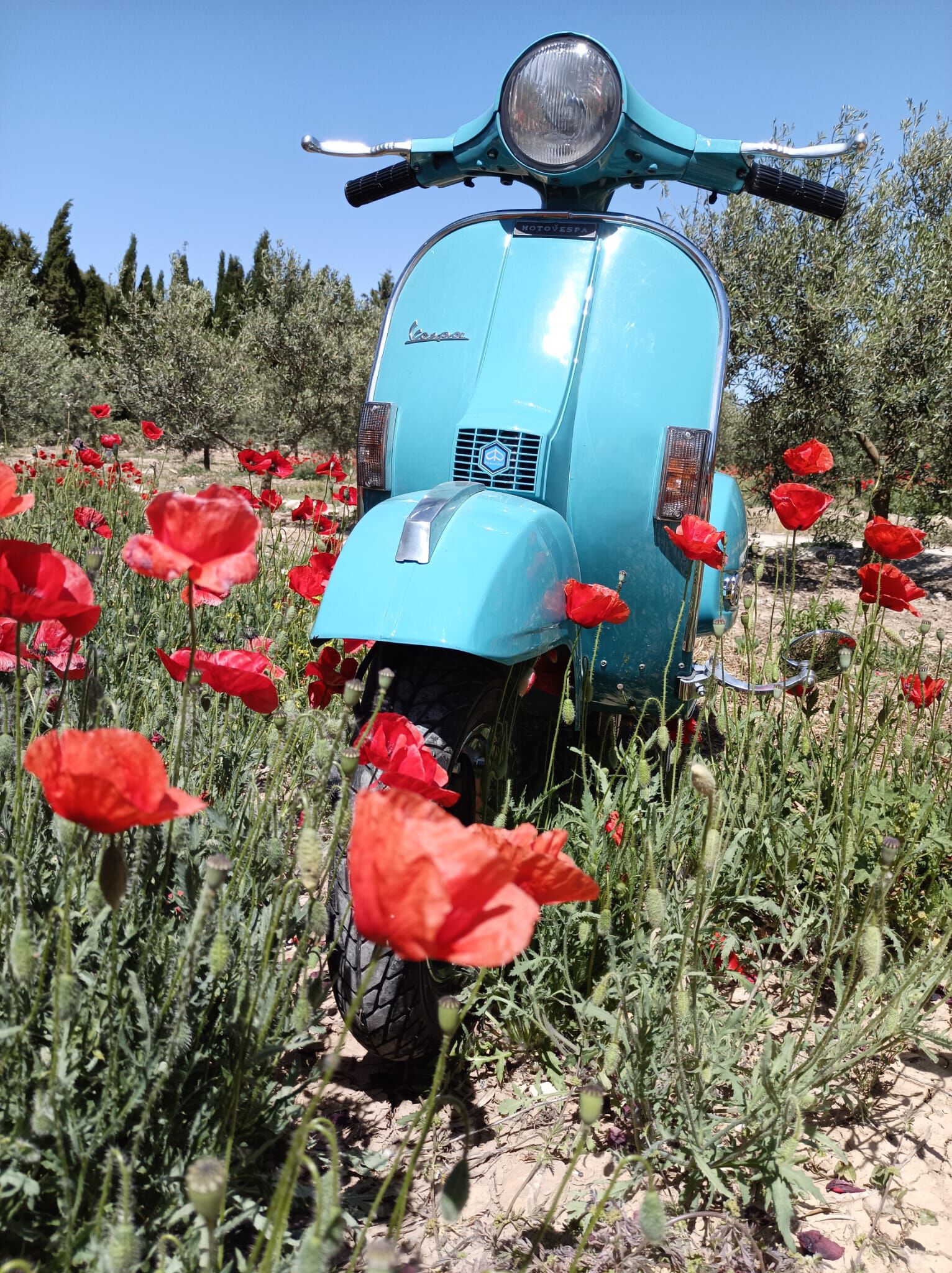 Forum member supplied image with no explanatory text