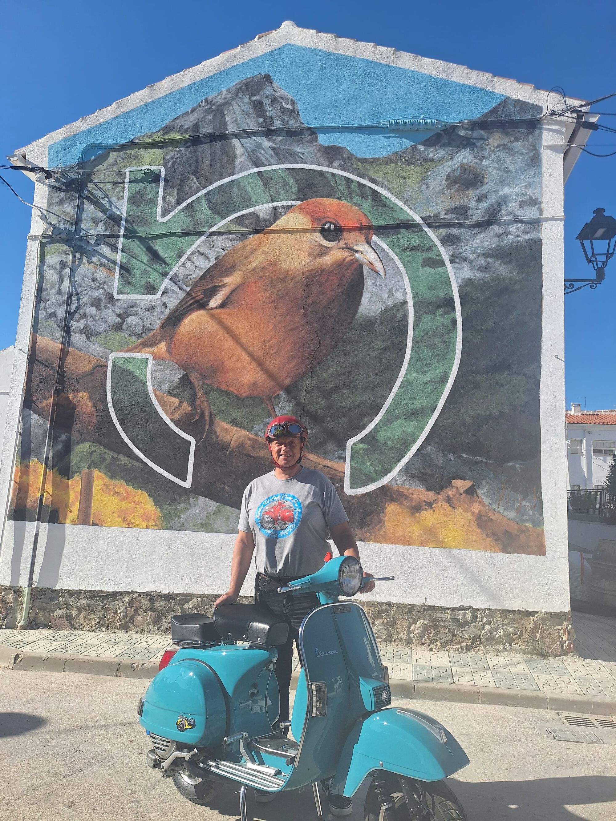 Forum member supplied image with no explanatory text